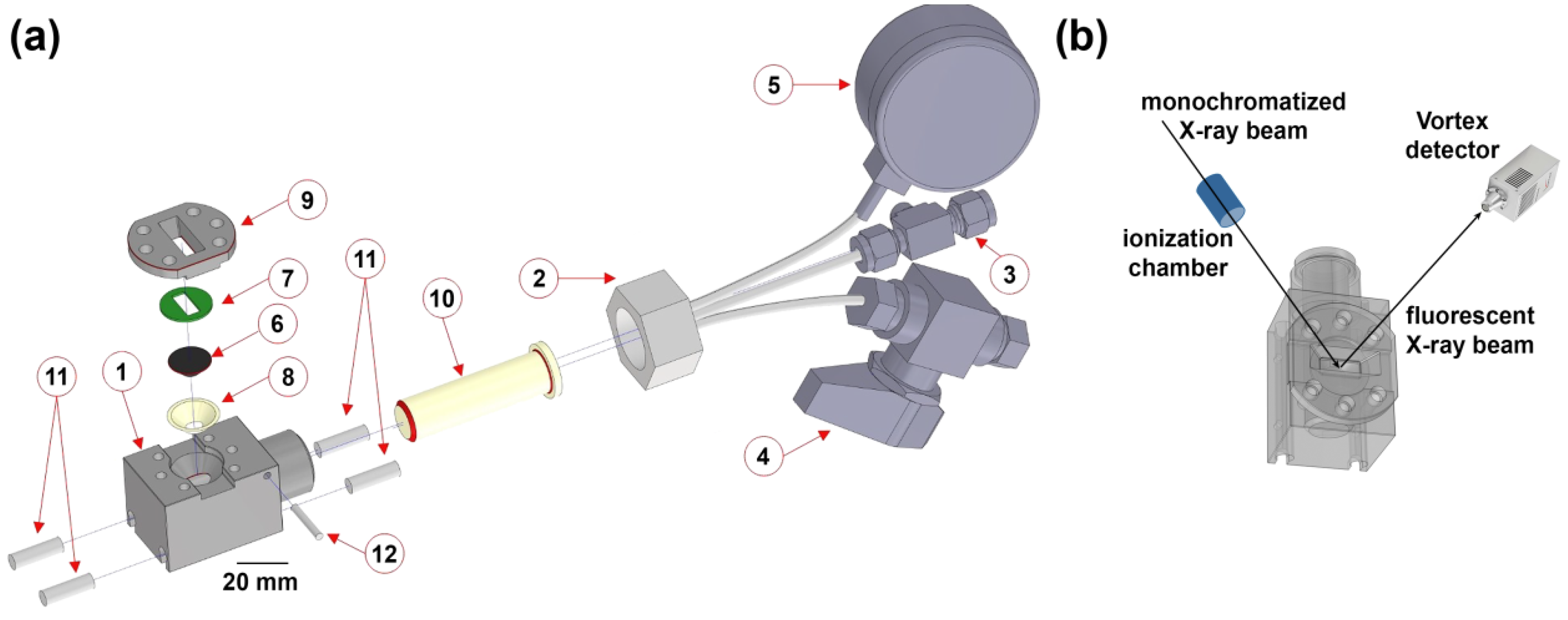 Catalysts 12 01264 g001 Catalysts 12 01264 g001