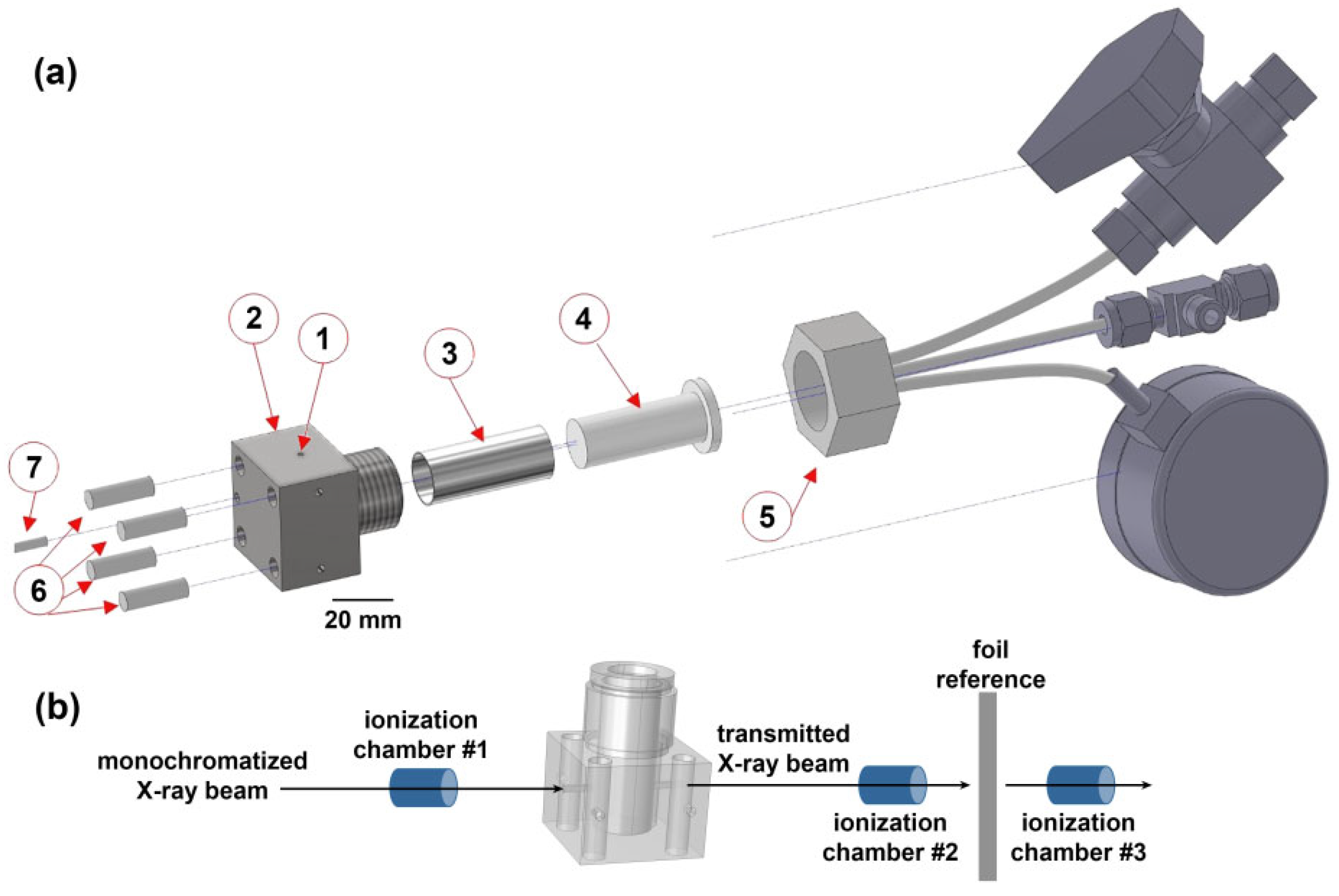 Catalysts 12 01264 g002 Catalysts 12 01264 g002