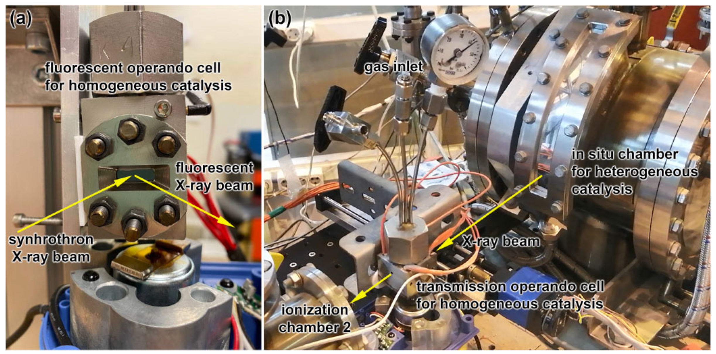 Catalysts 12 01264 g003 Catalysts 12 01264 g003