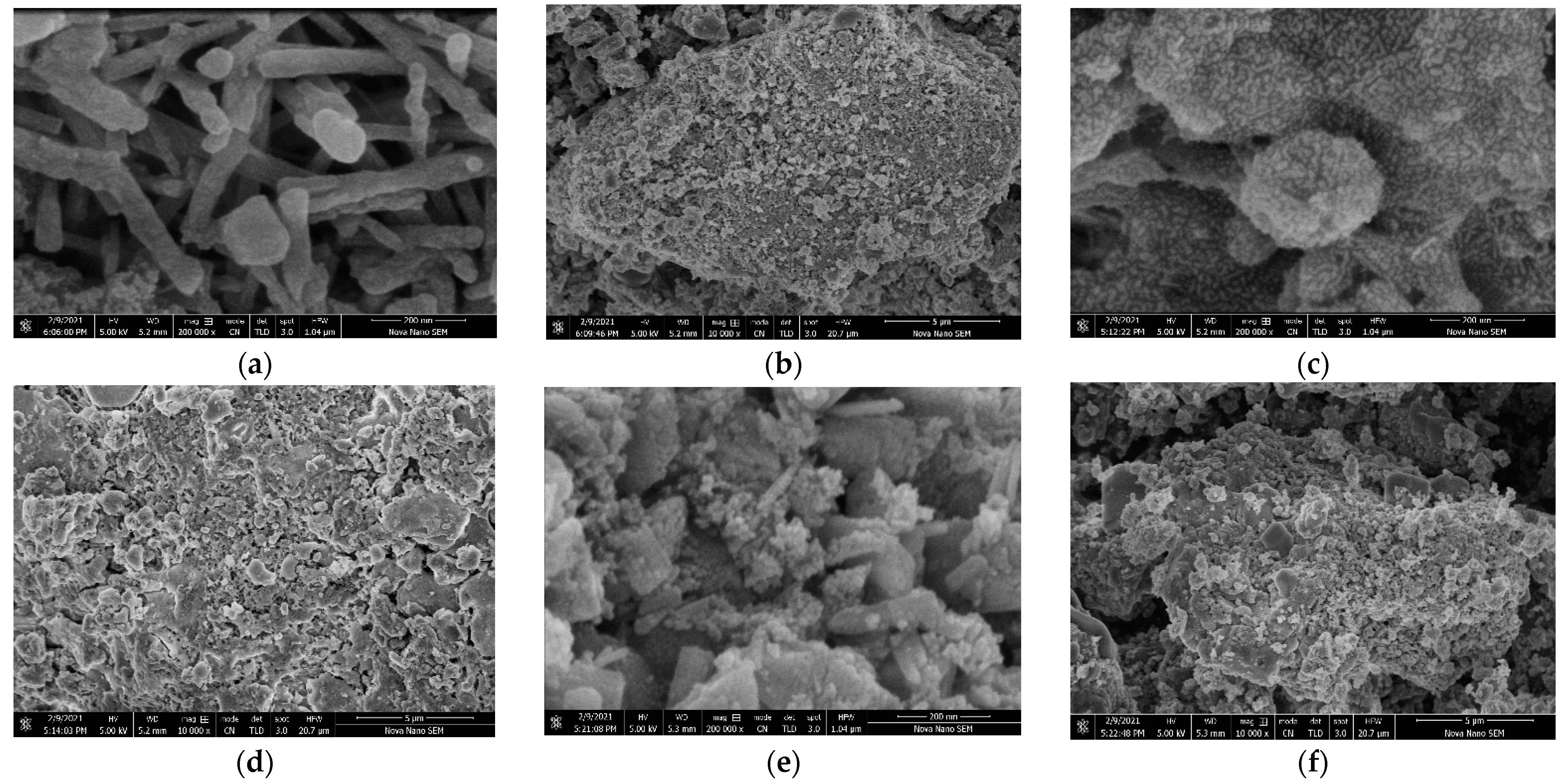 Catalysts 12 01266 g006