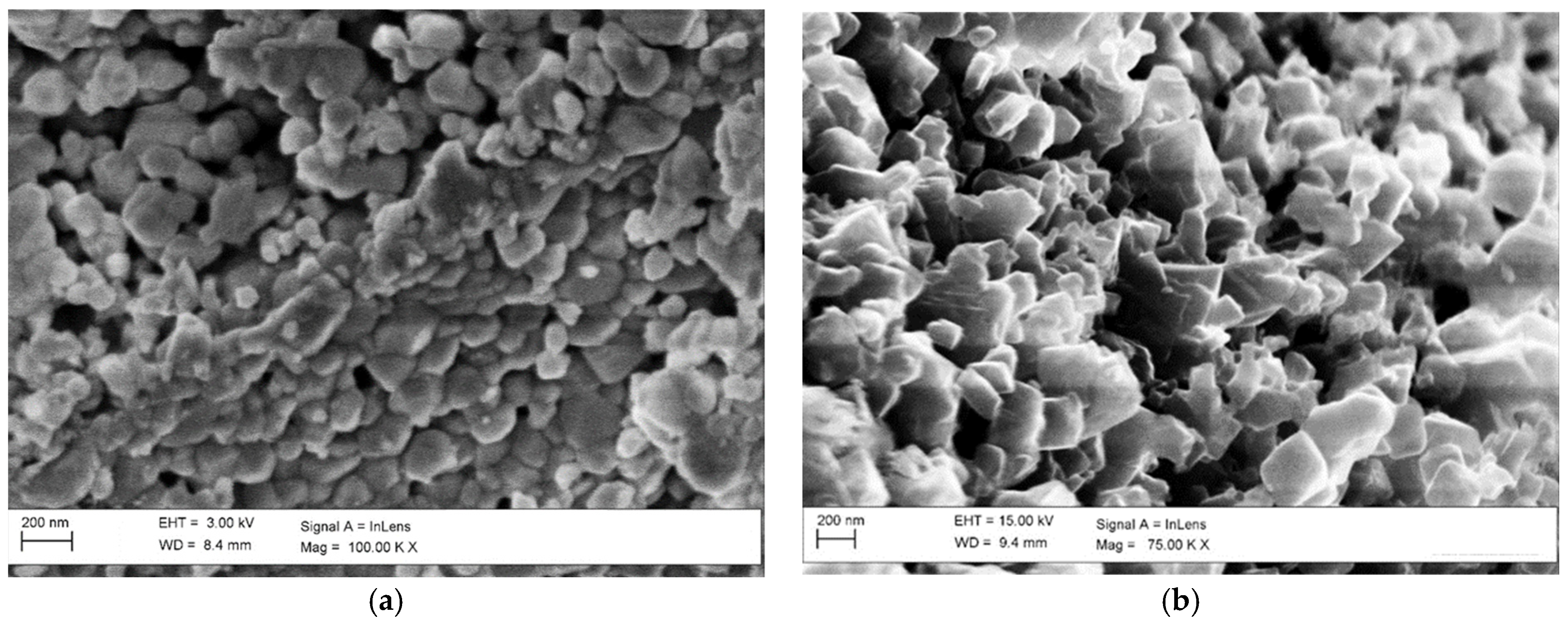 Catalysts 12 01273 g008