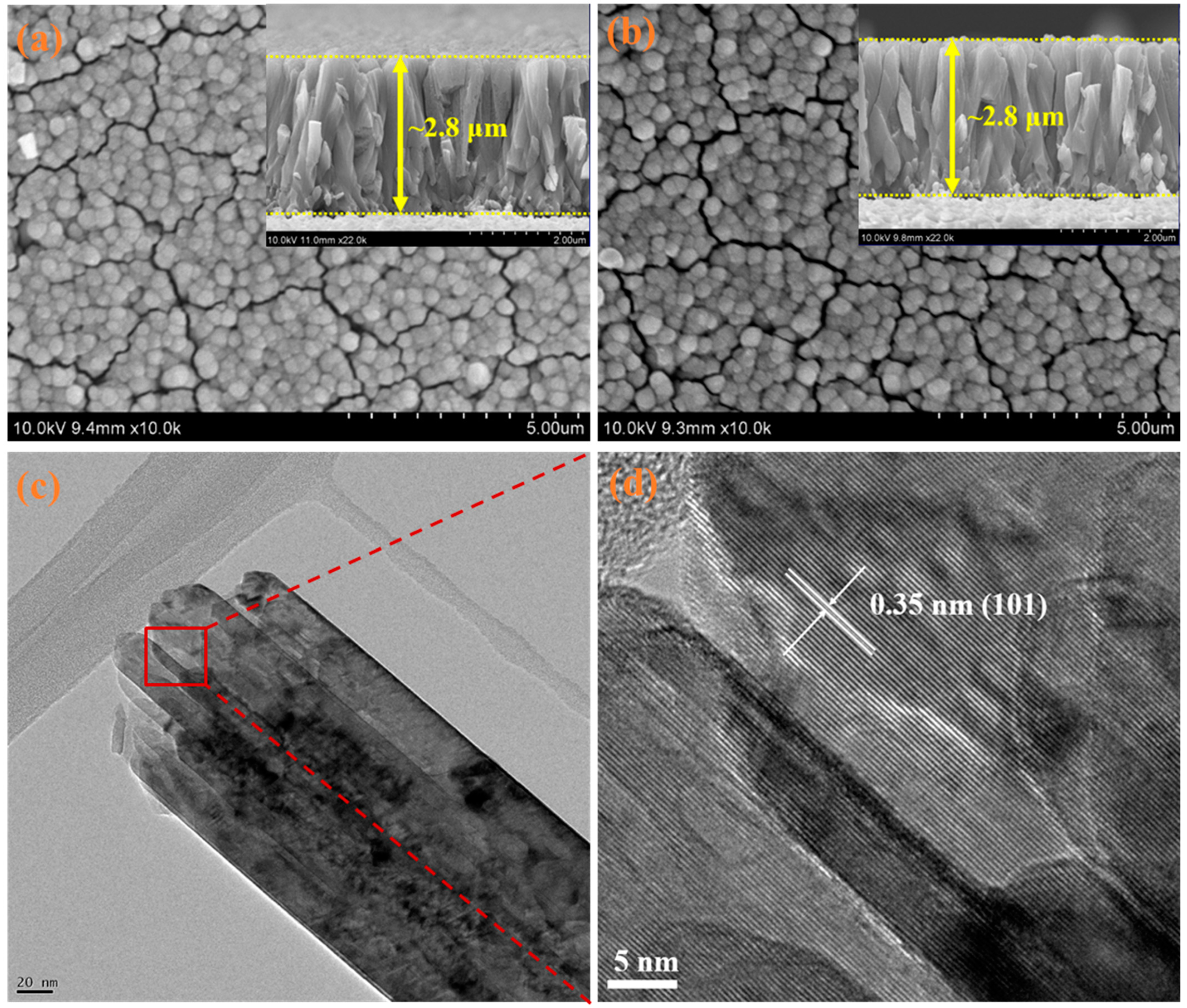 Catalysts 12 01281 g001