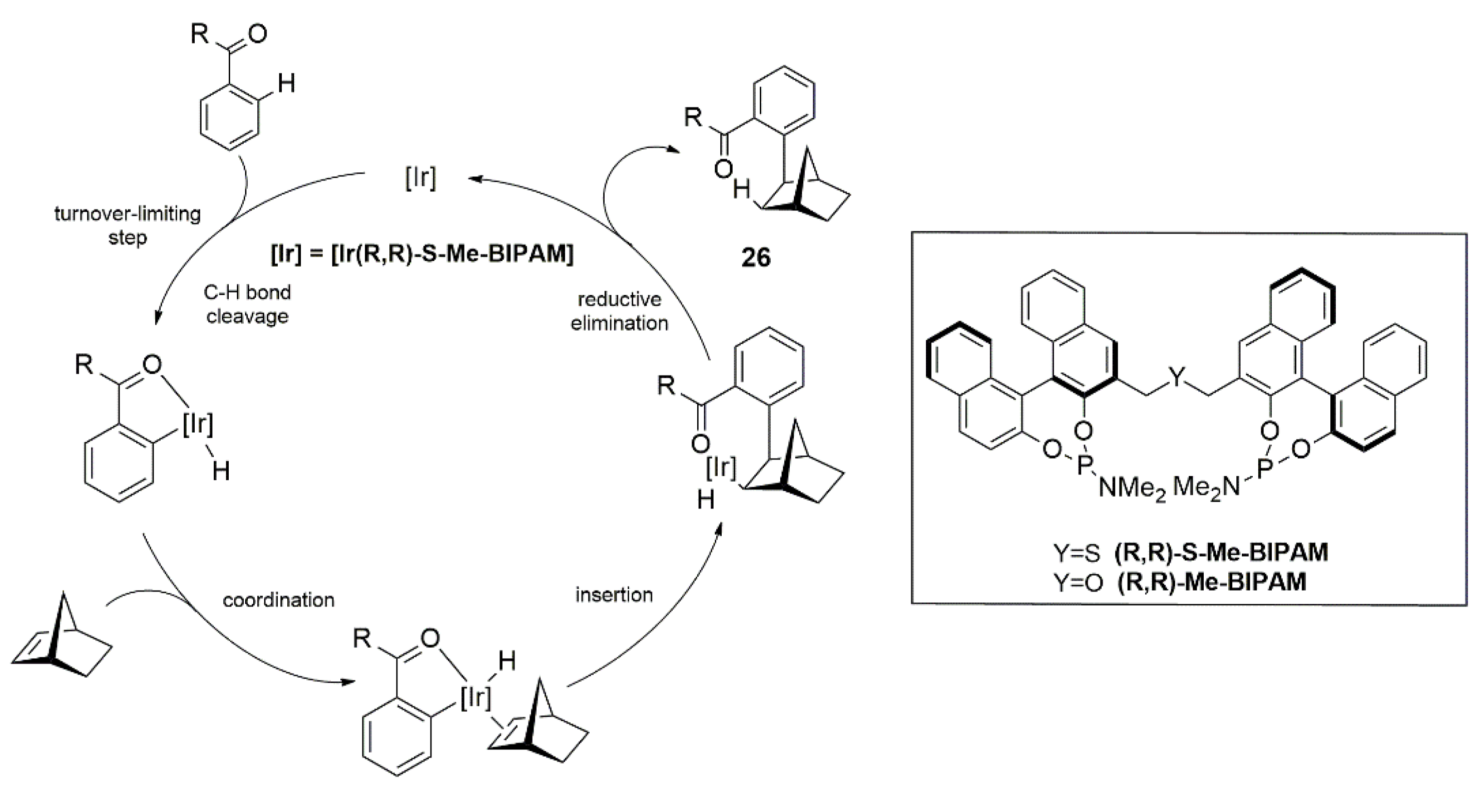 Catalysts 12 01289 g016 Catalysts 12 01289 g016