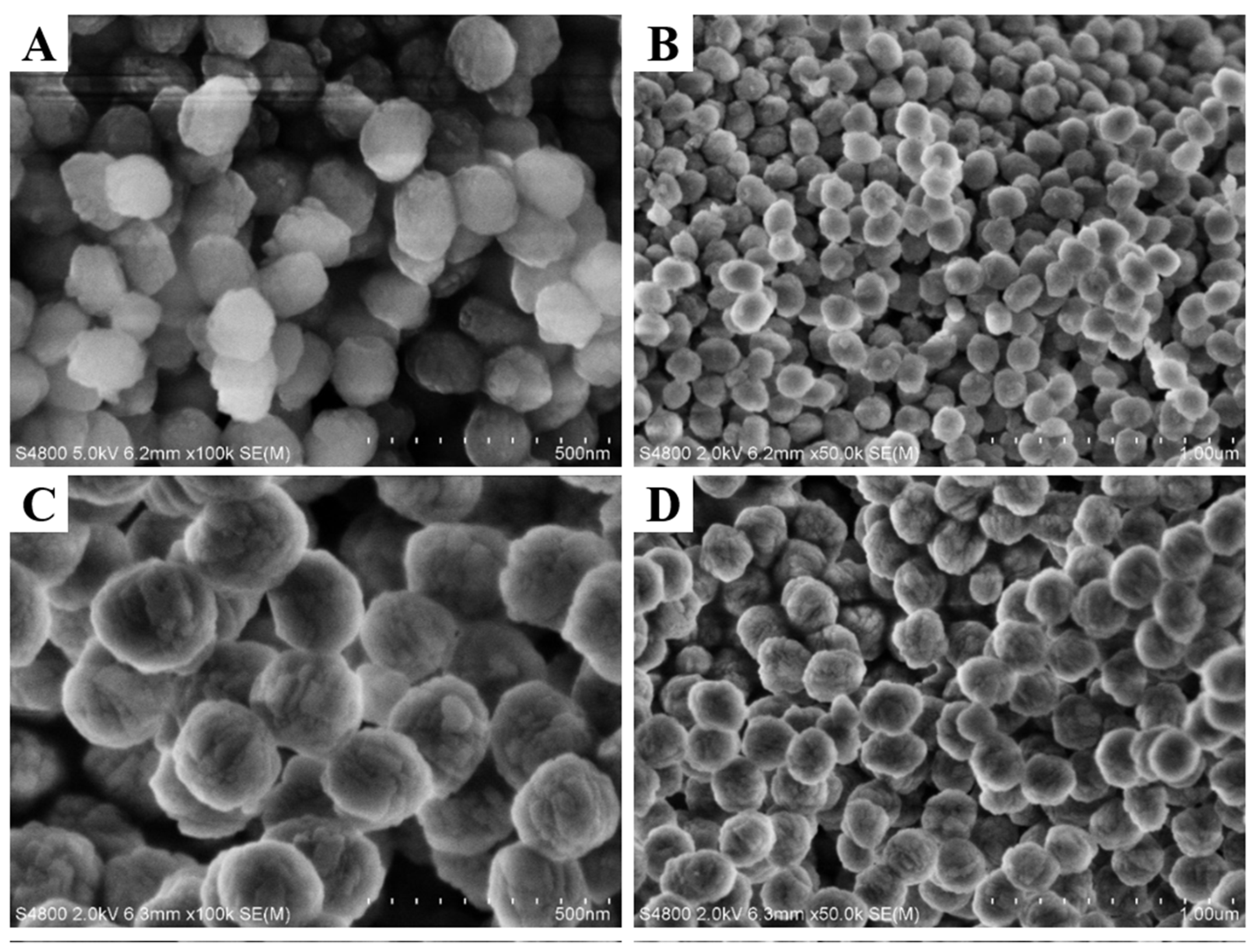 Catalysts 12 01296 g002