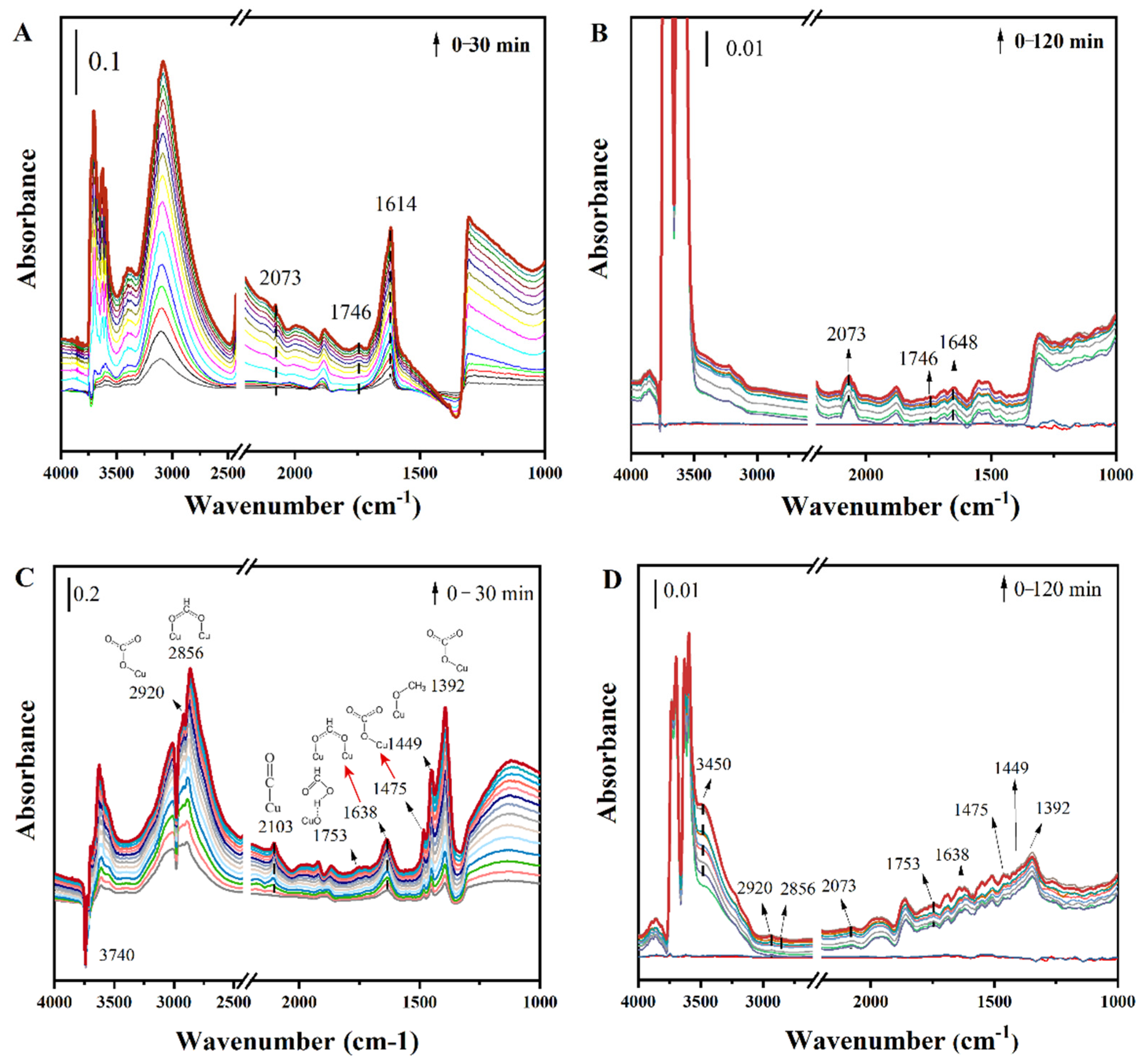 Catalysts 12 01296 g006