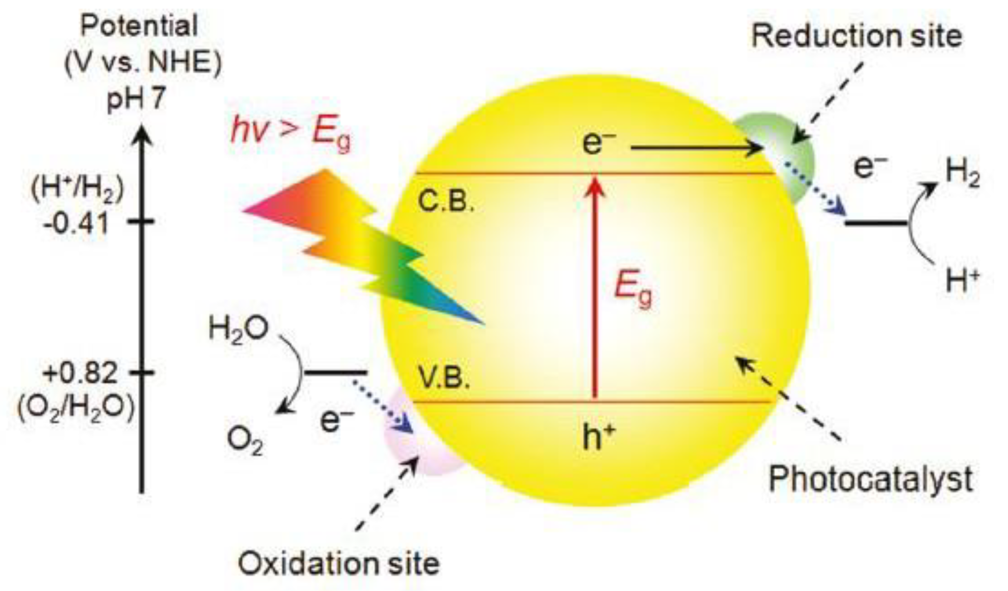 Catalysts 12 01303 g002