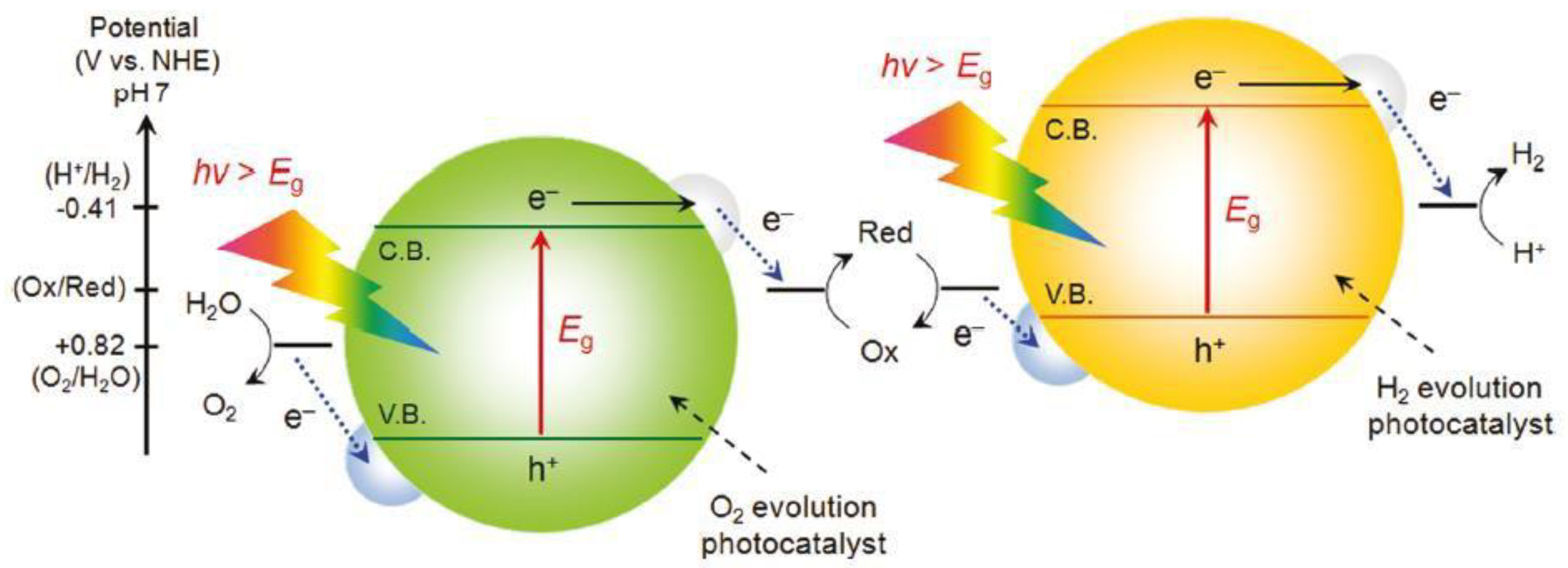 Catalysts 12 01303 g003