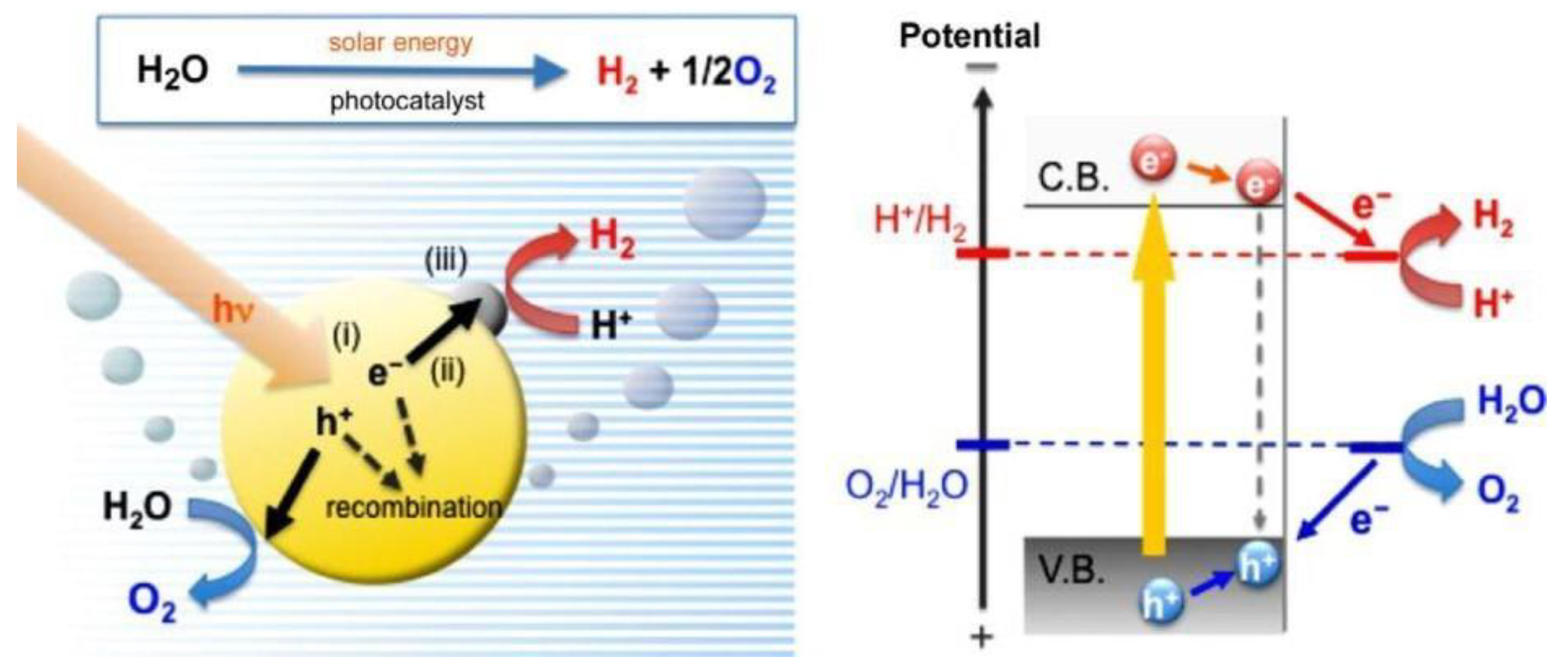 Catalysts 12 01303 g004