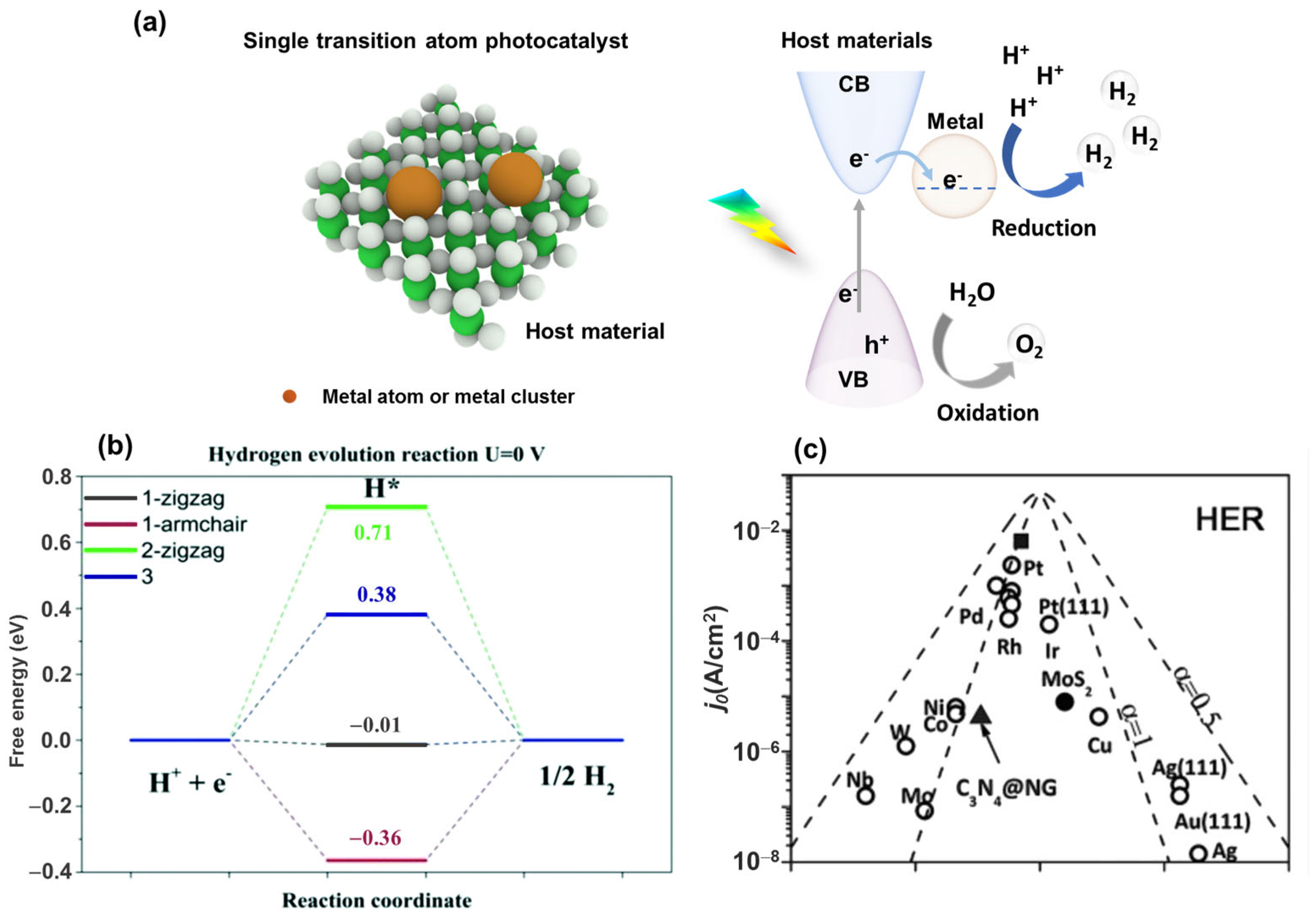 Catalysts 12 01304 g002 Catalysts 12 01304 g002
