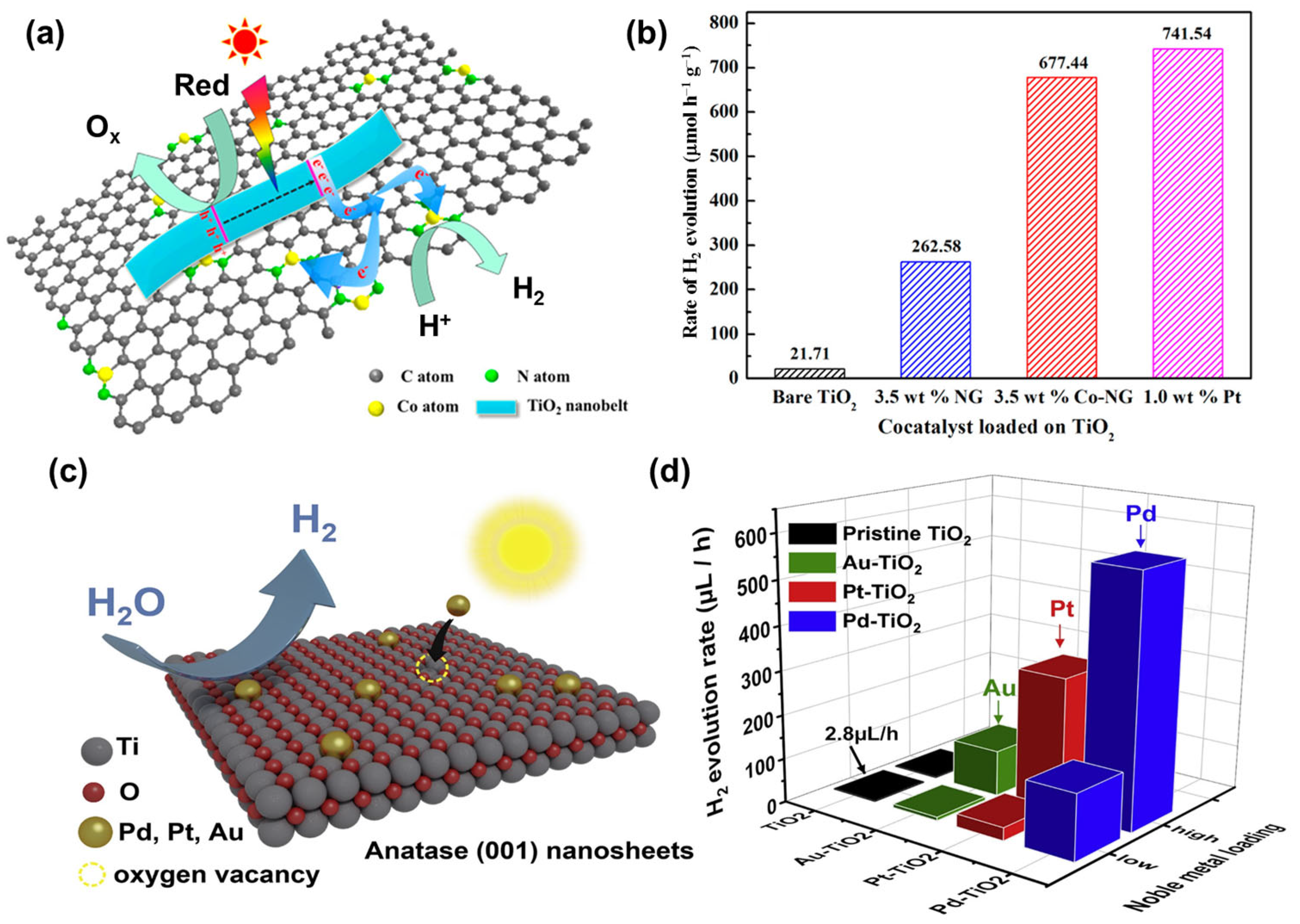 Catalysts 12 01304 g004 Catalysts 12 01304 g004