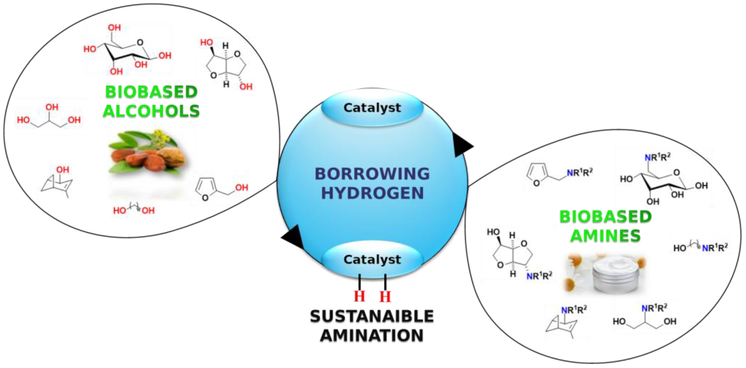 Catalysts 12 01306 sch056 Catalysts 12 01306 sch056