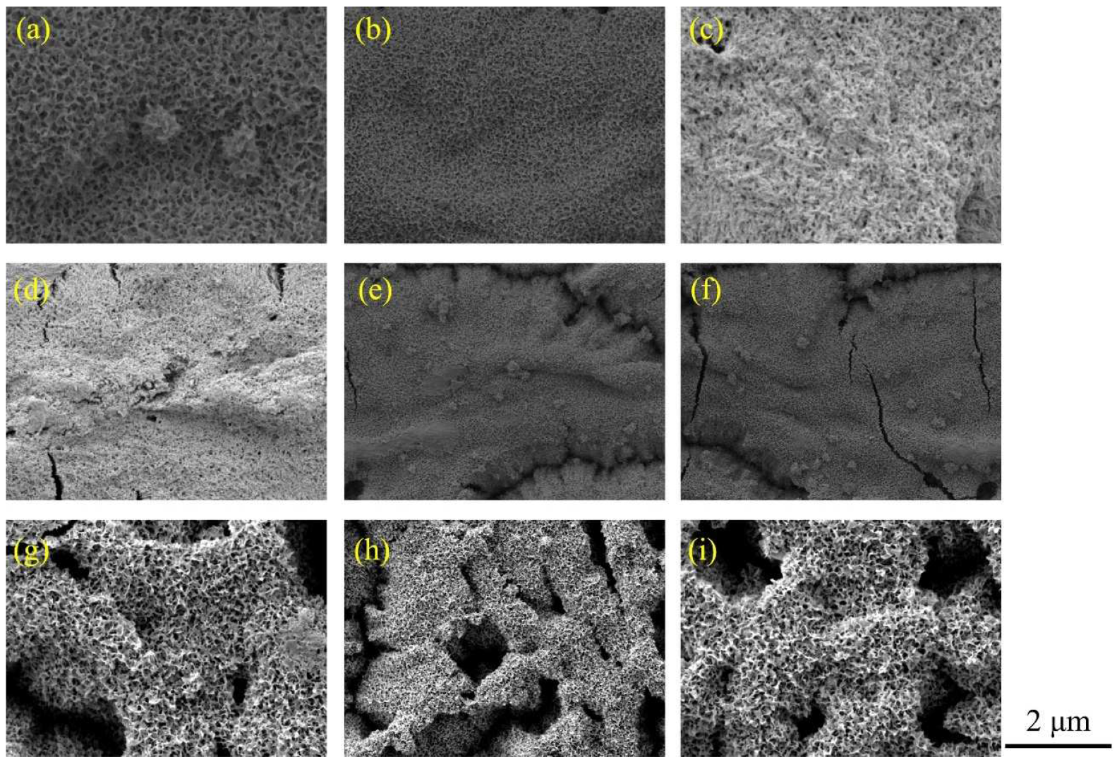 Catalysts 12 01308 g009