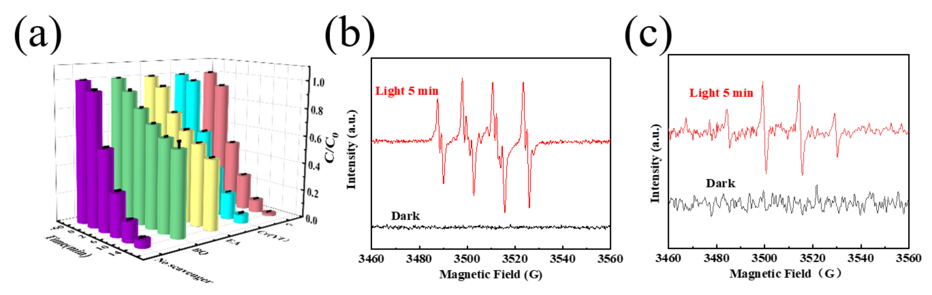 Catalysts 12 01309 g006