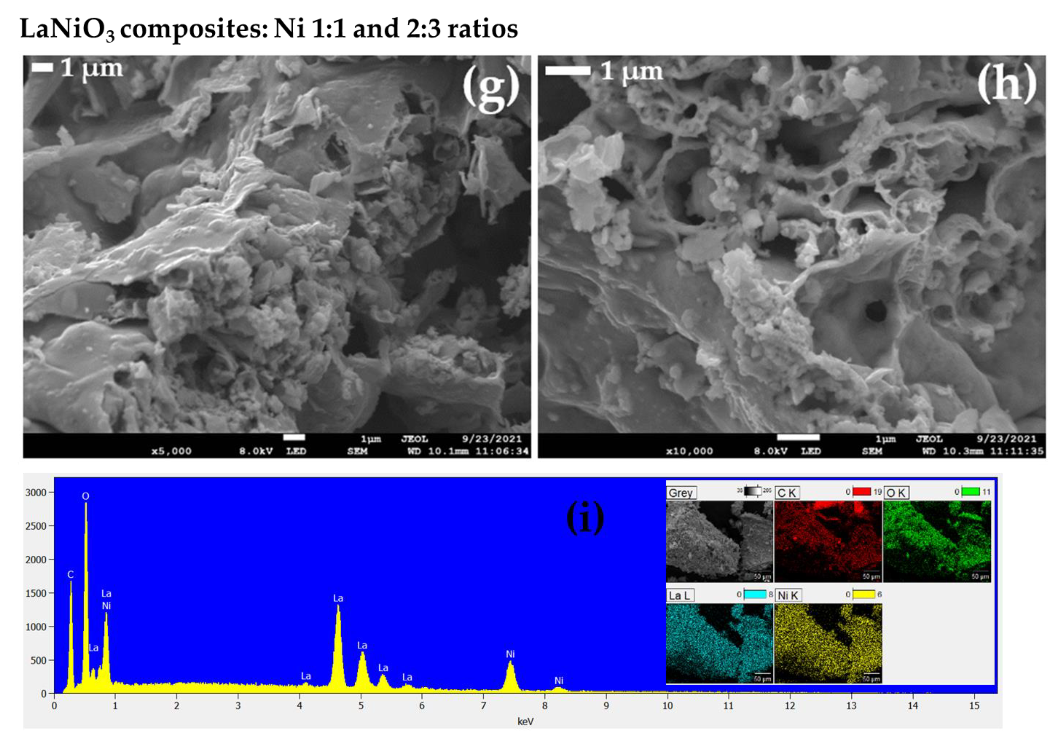 Catalysts 12 01313 g002b Catalysts 12 01313 g002b