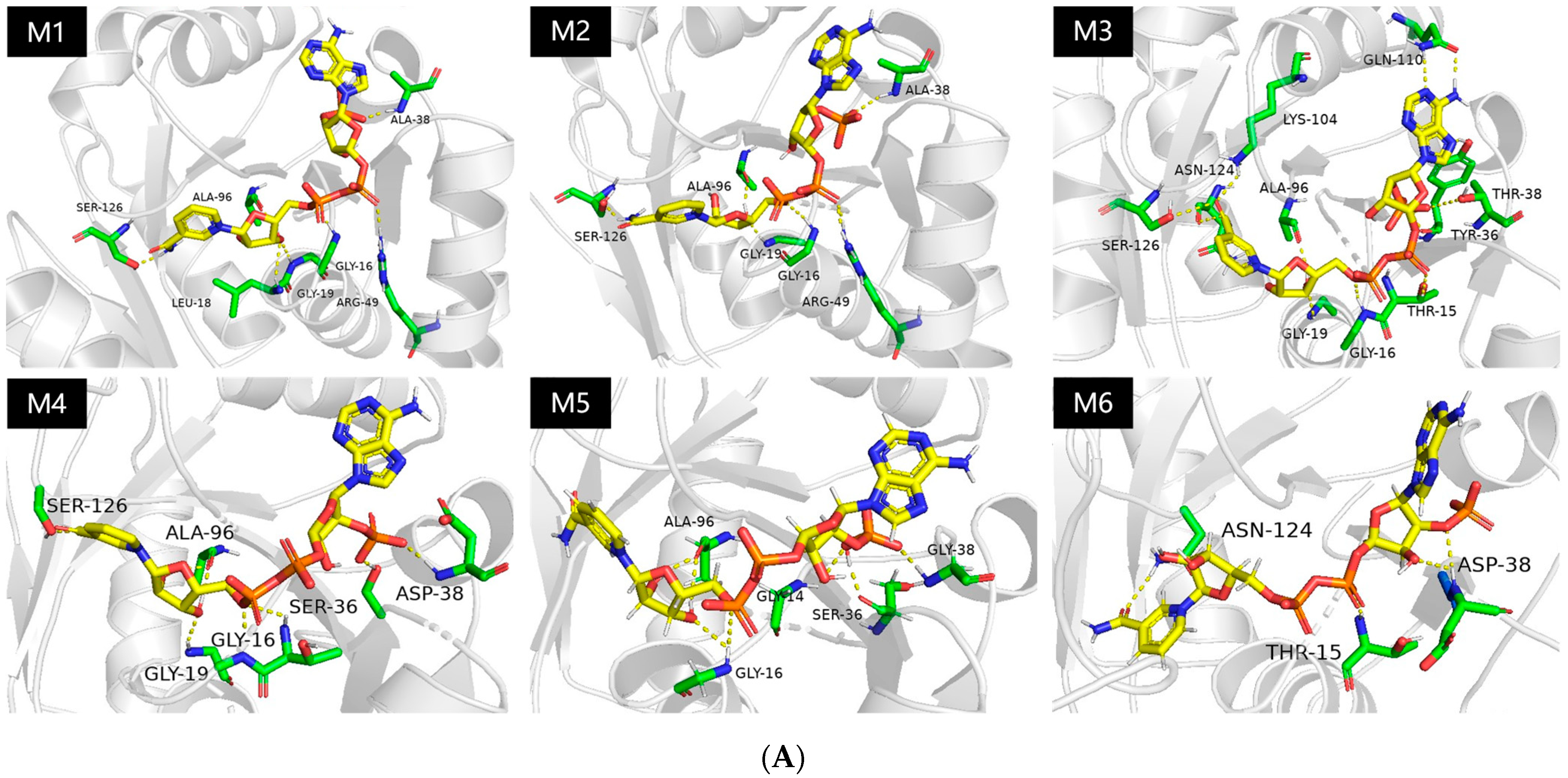 Catalysts 12 01318 g002a Catalysts 12 01318 g002a