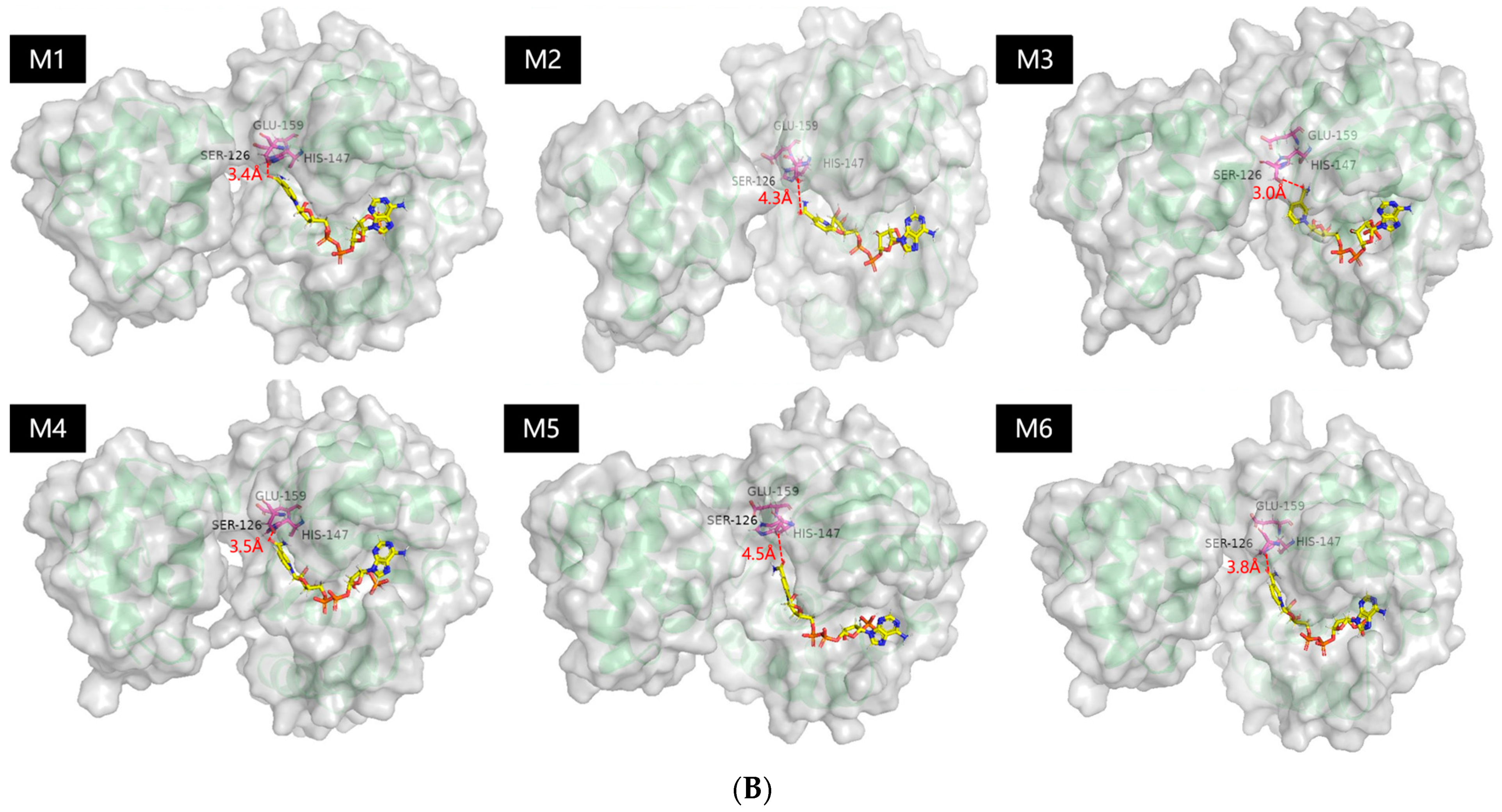 Catalysts 12 01318 g002b Catalysts 12 01318 g002b