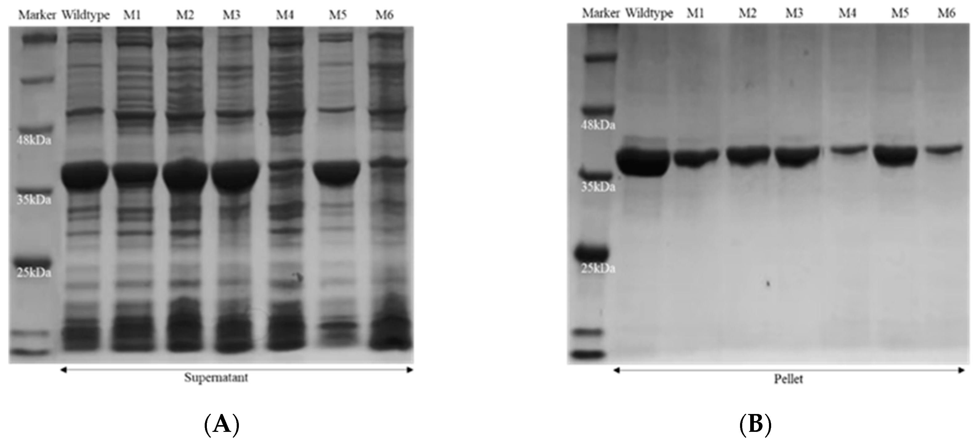 Catalysts 12 01318 g003 Catalysts 12 01318 g003