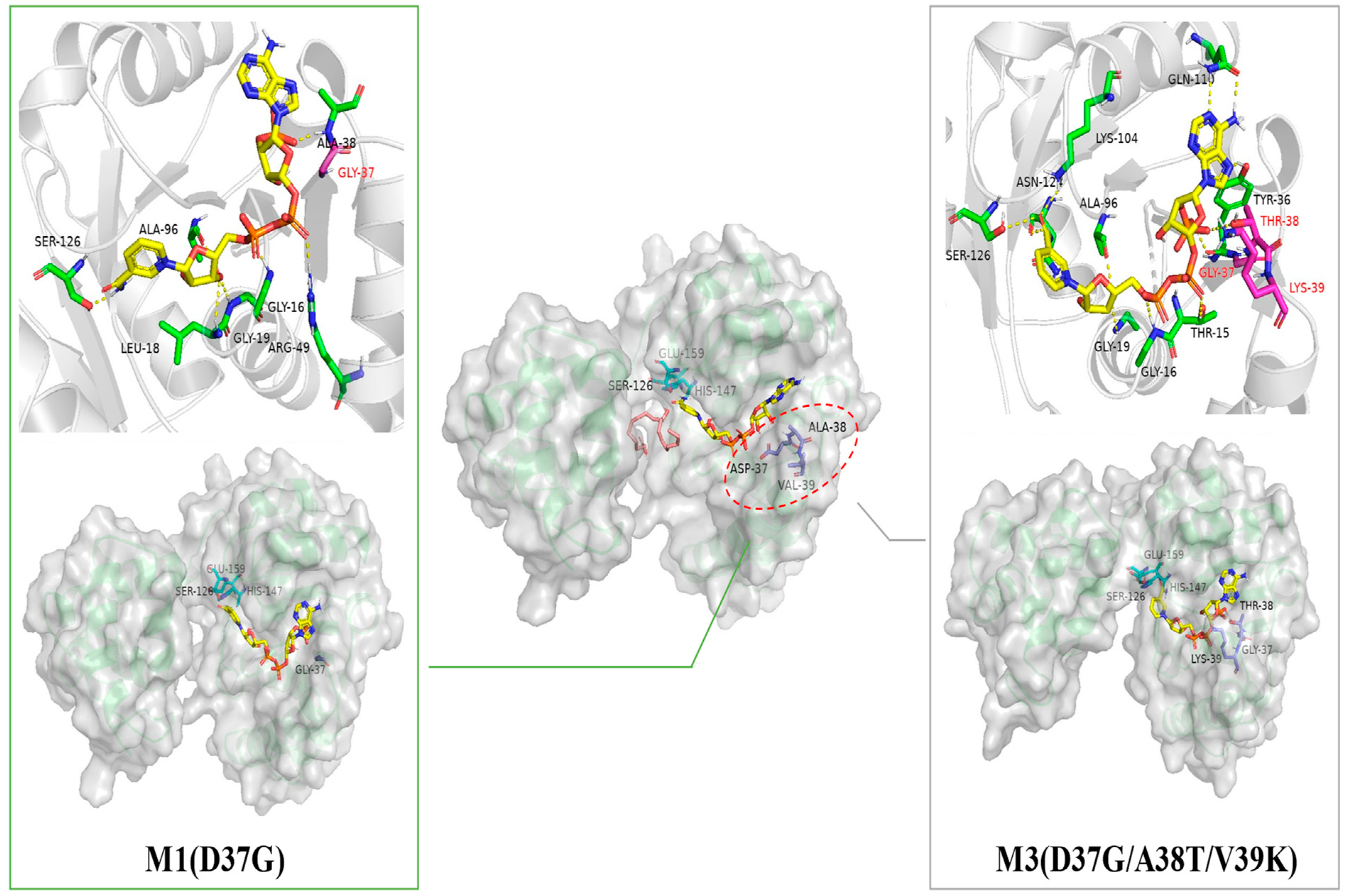 Catalysts 12 01318 g004 Catalysts 12 01318 g004