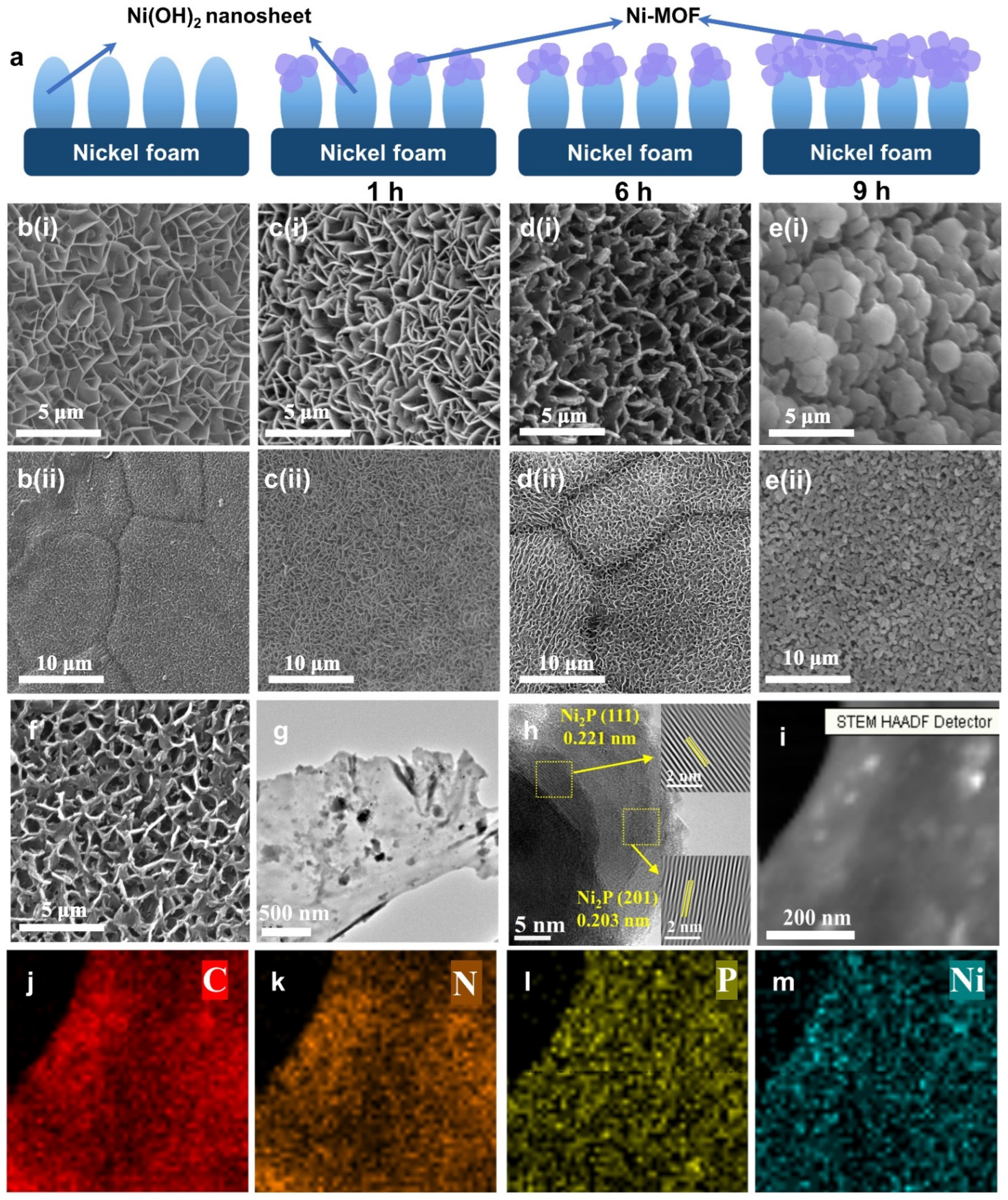 Catalysts 12 01319 g002 Catalysts 12 01319 g002