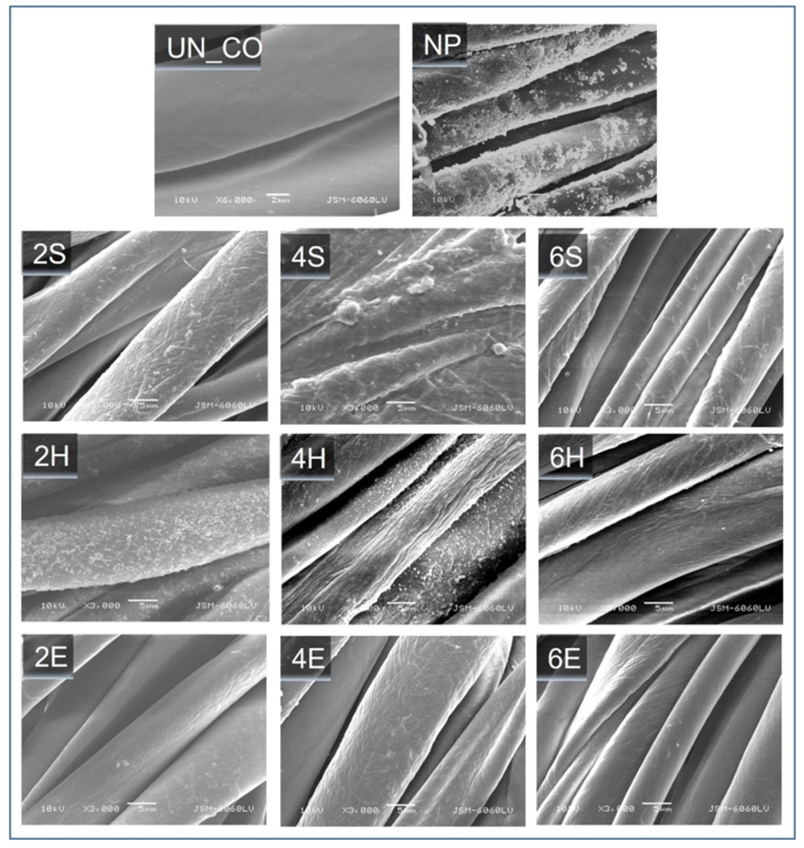 Catalysts 12 01330 g001 Catalysts 12 01330 g001
