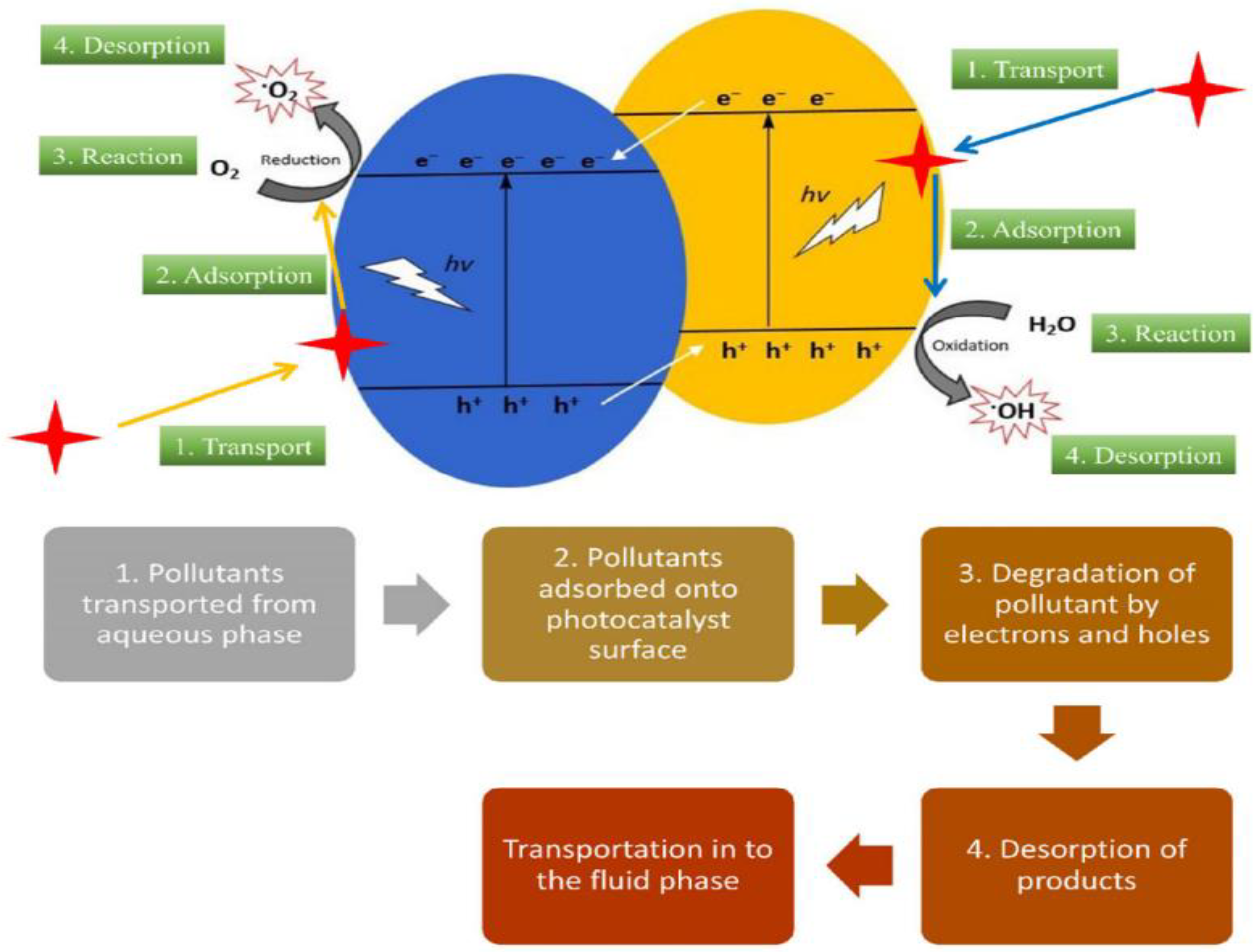 Catalysts 12 01331 g002 Catalysts 12 01331 g002