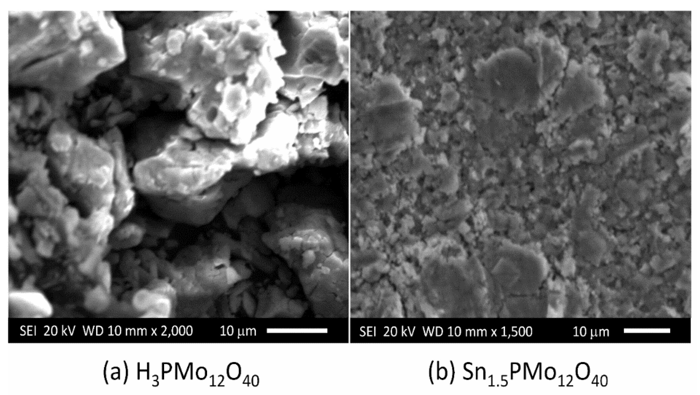 Catalysts 12 01332 g002
