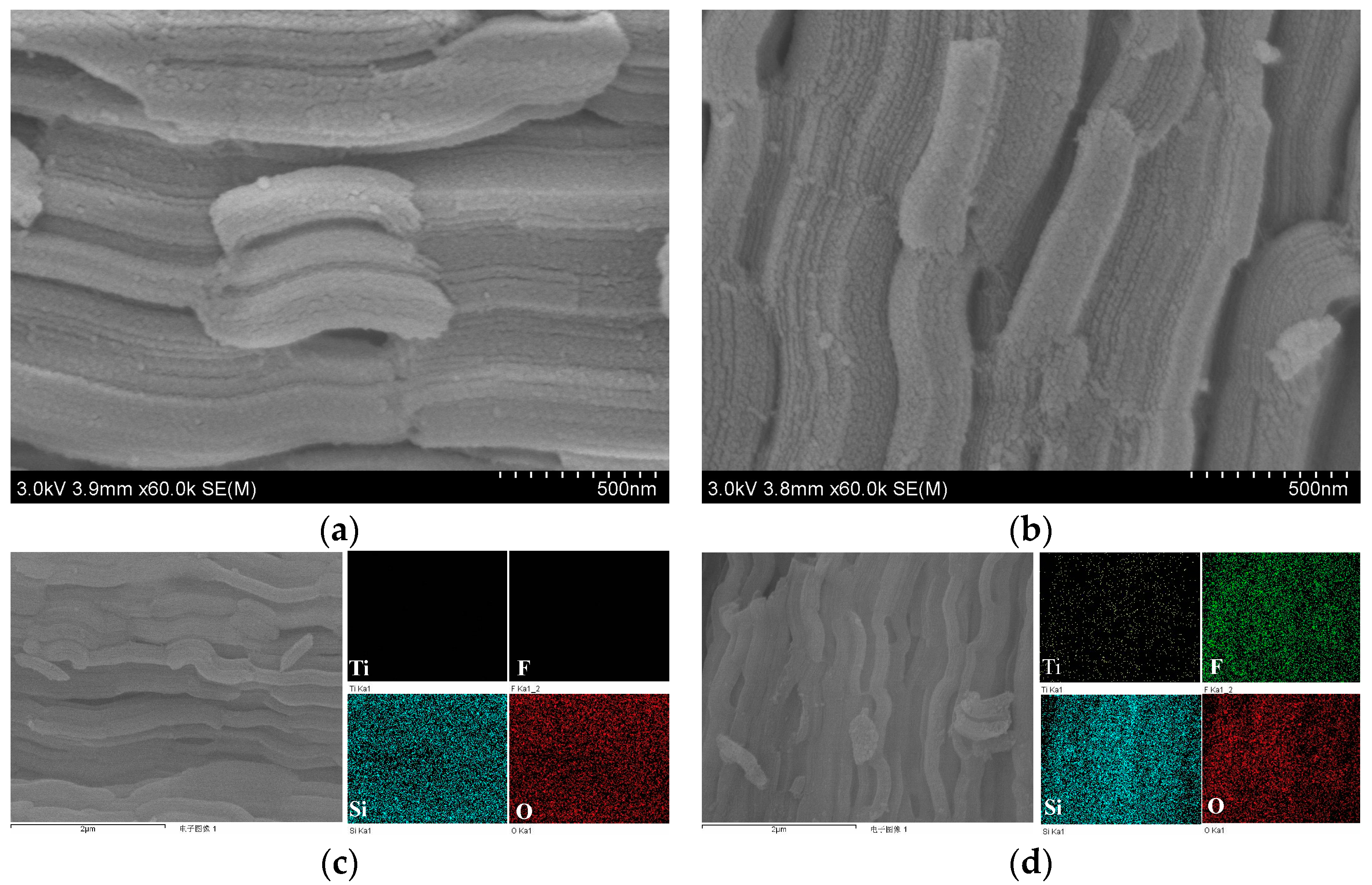 Catalysts 12 01334 g002