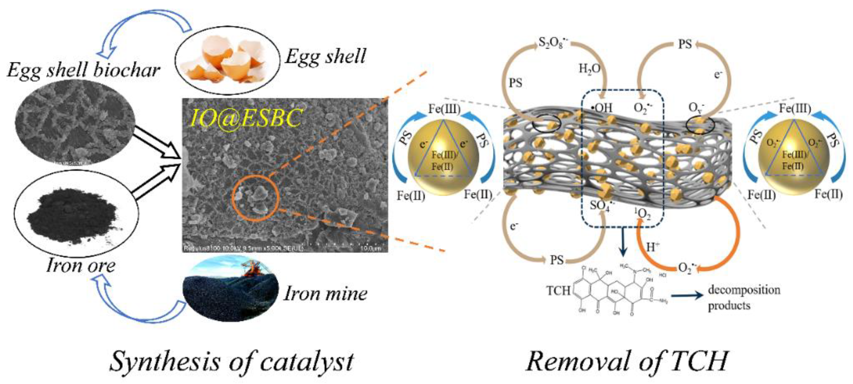 Catalysts 12 01345 g004 Catalysts 12 01345 g004