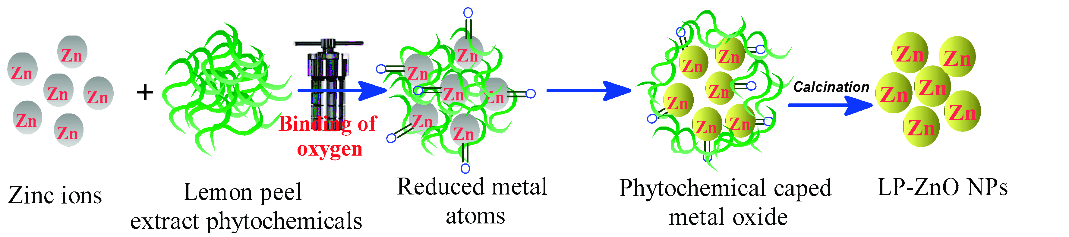 Catalysts 12 01347 g002 Catalysts 12 01347 g002