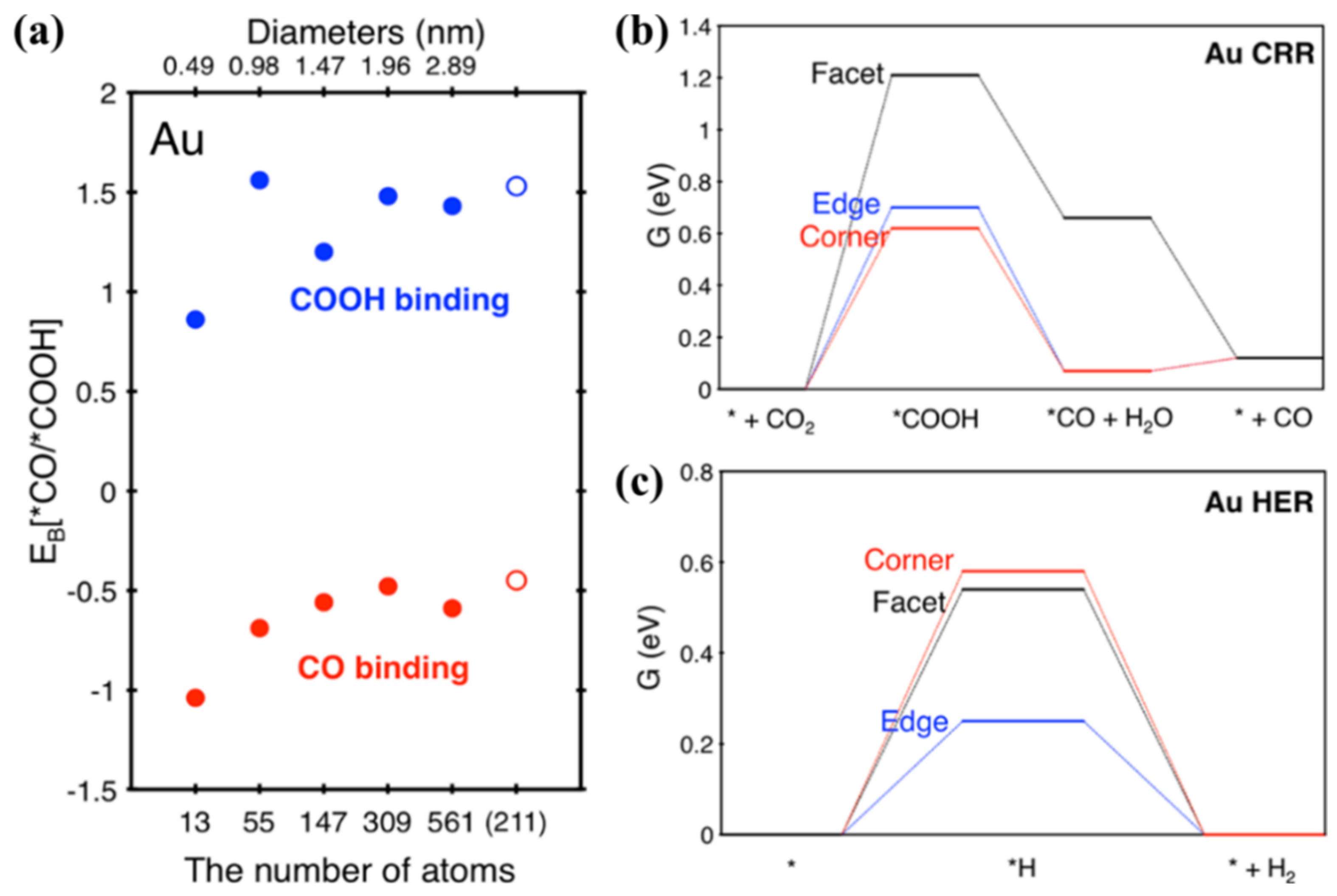 Catalysts 12 01348 g004 Catalysts 12 01348 g004