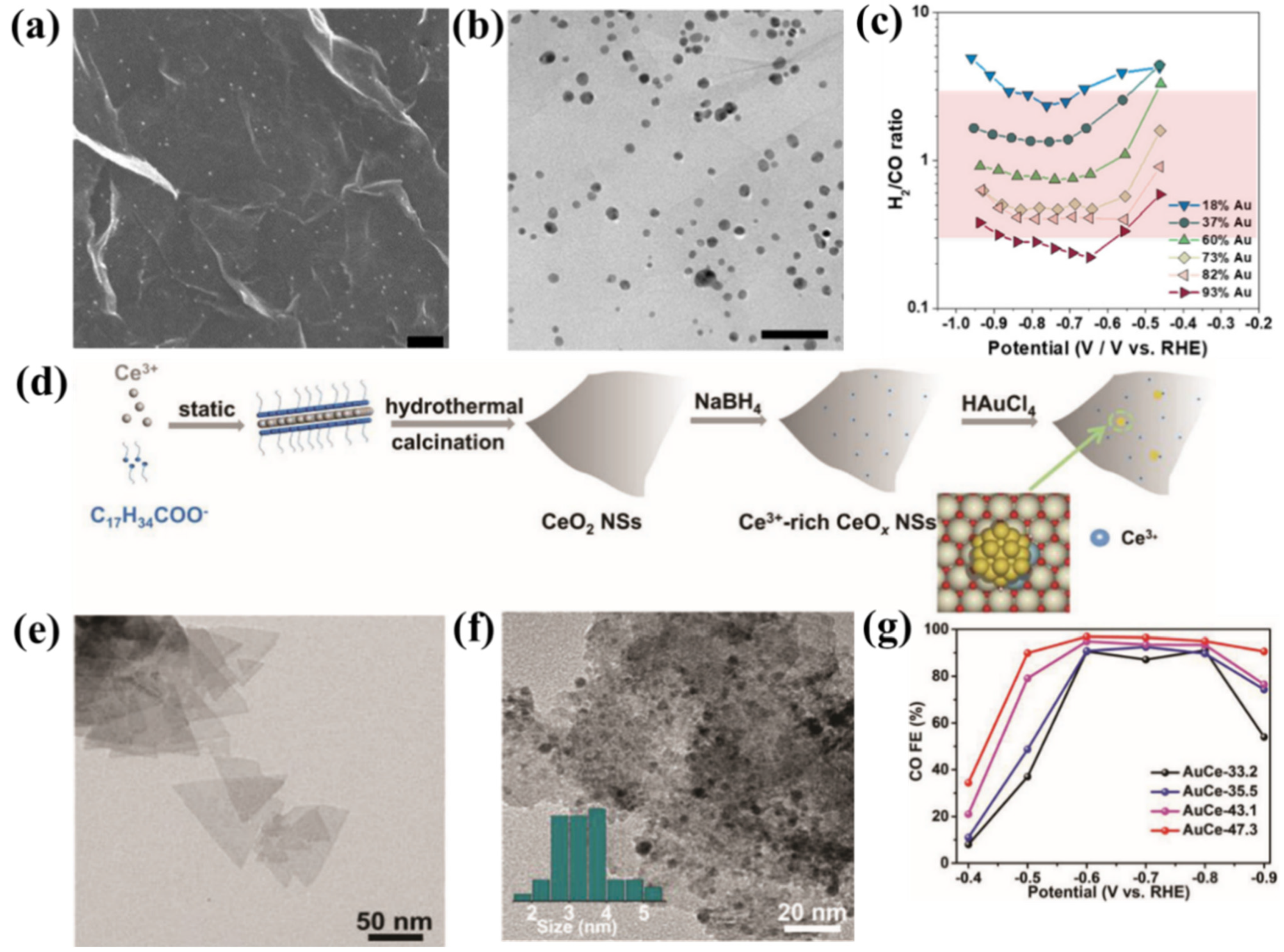 Catalysts 12 01348 g008 Catalysts 12 01348 g008