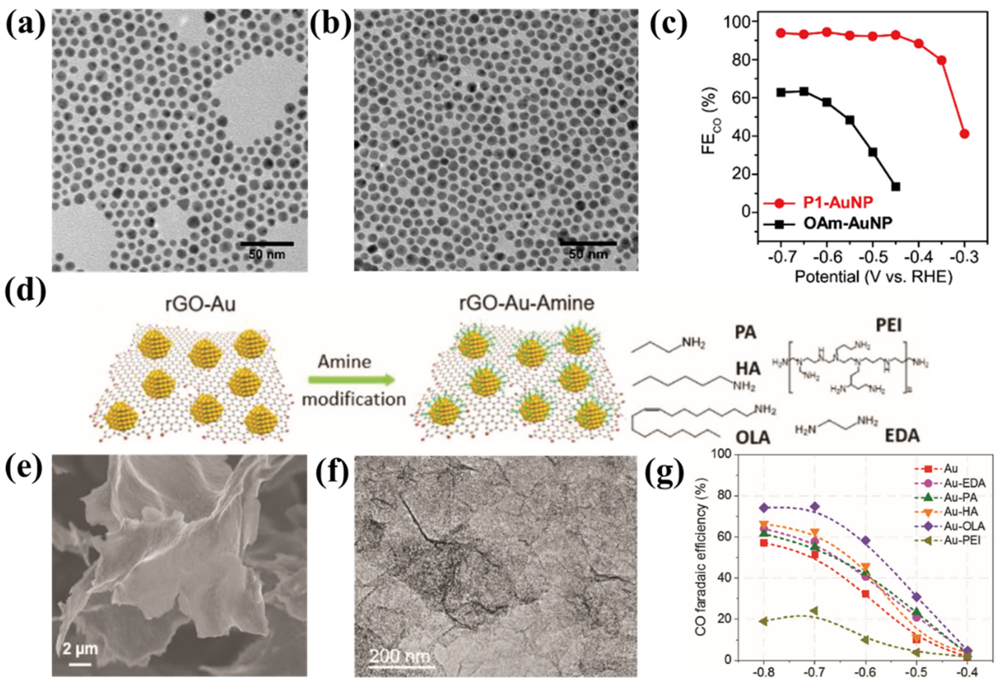 Catalysts 12 01348 g009 Catalysts 12 01348 g009