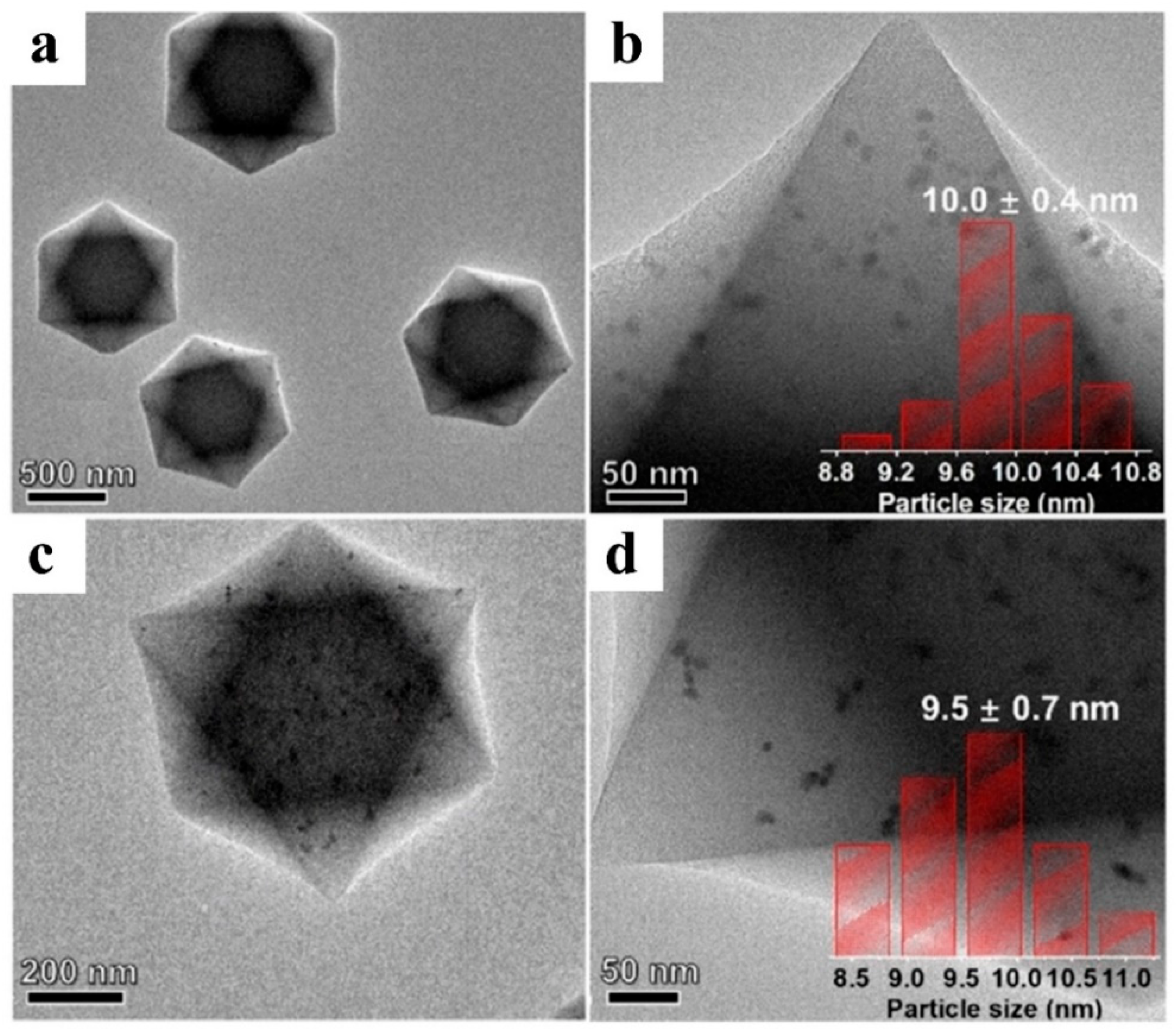 Catalysts 12 01350 g006 Catalysts 12 01350 g006