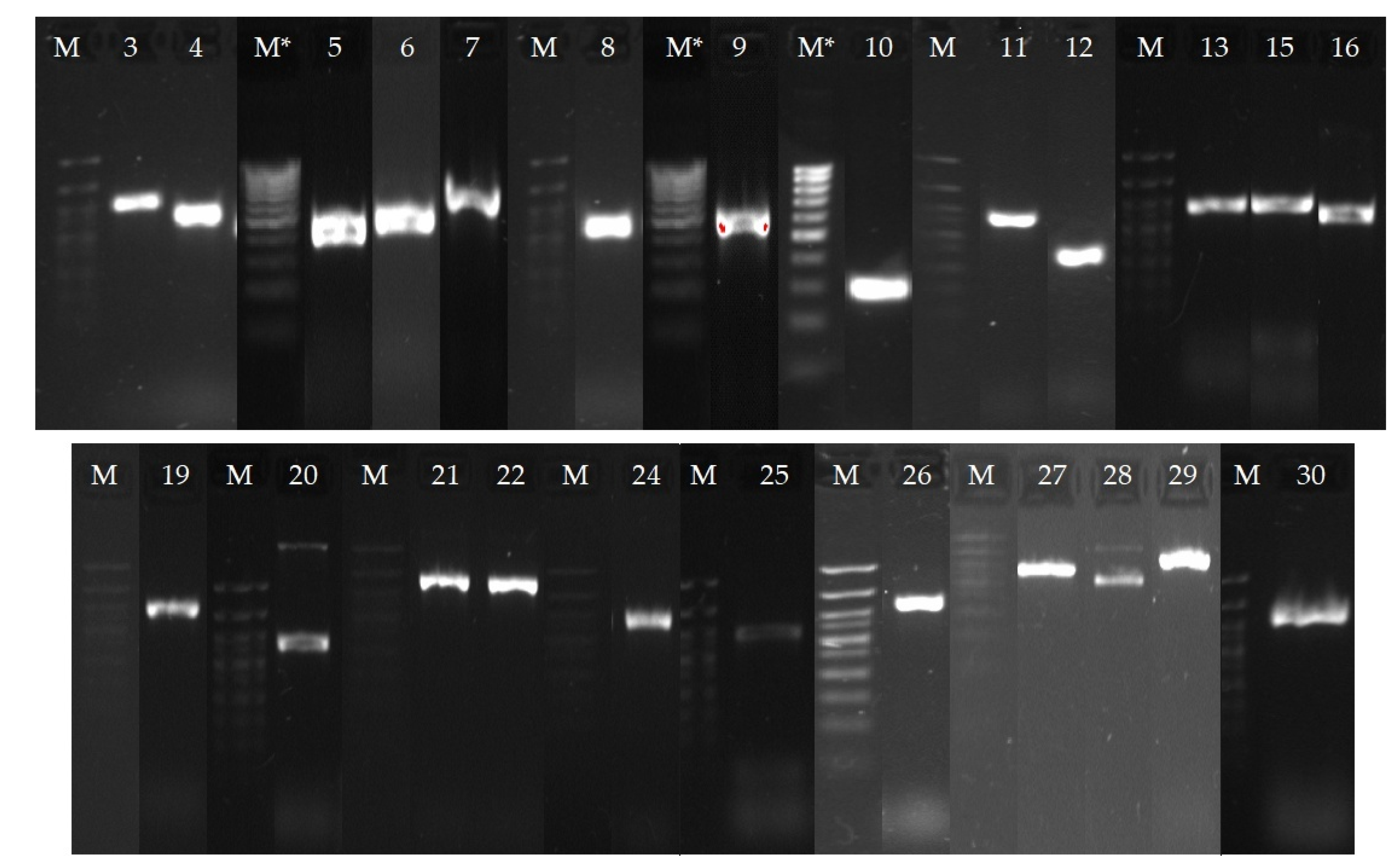 Catalysts 12 01352 g010