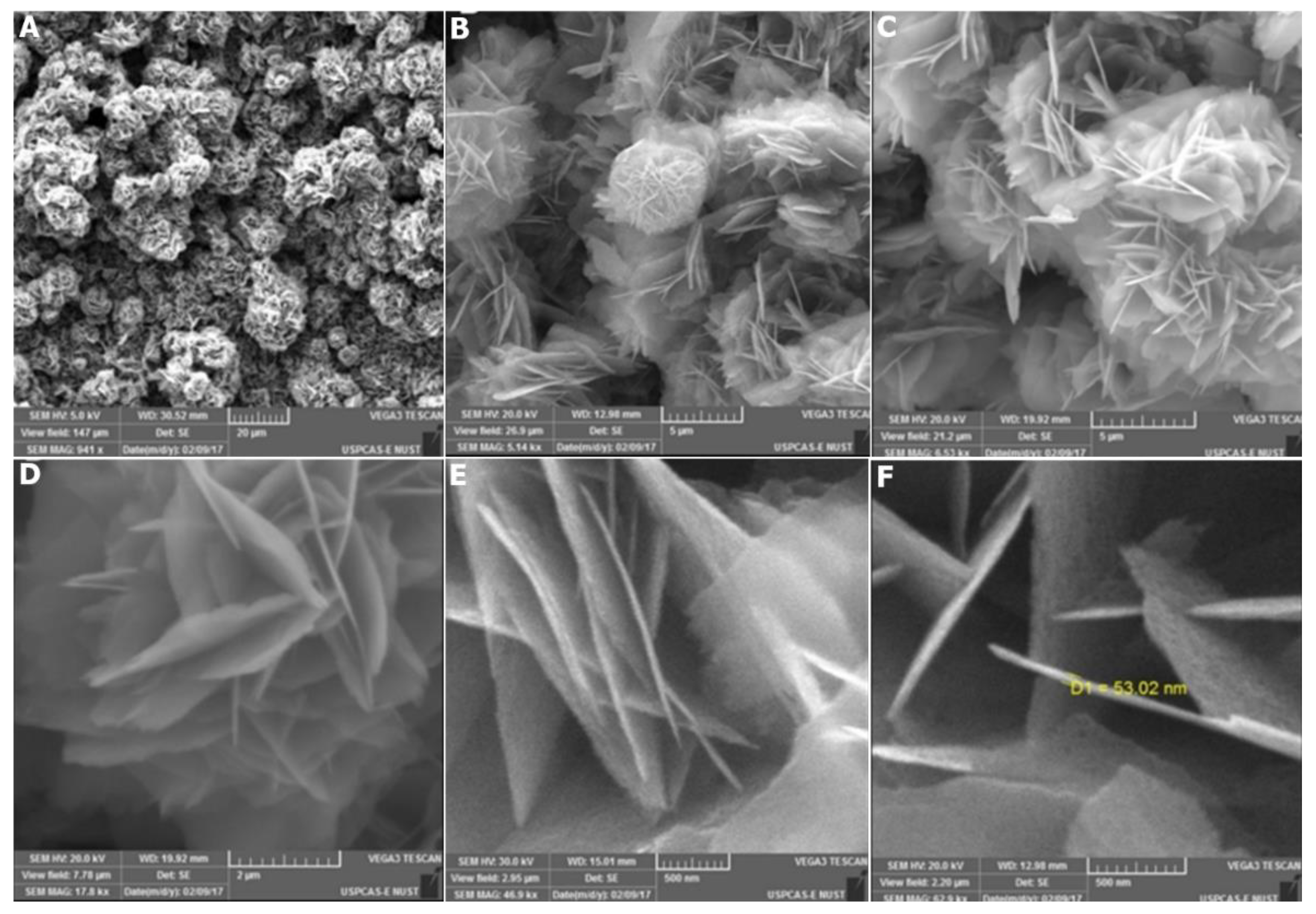 Catalysts 12 01354 g007