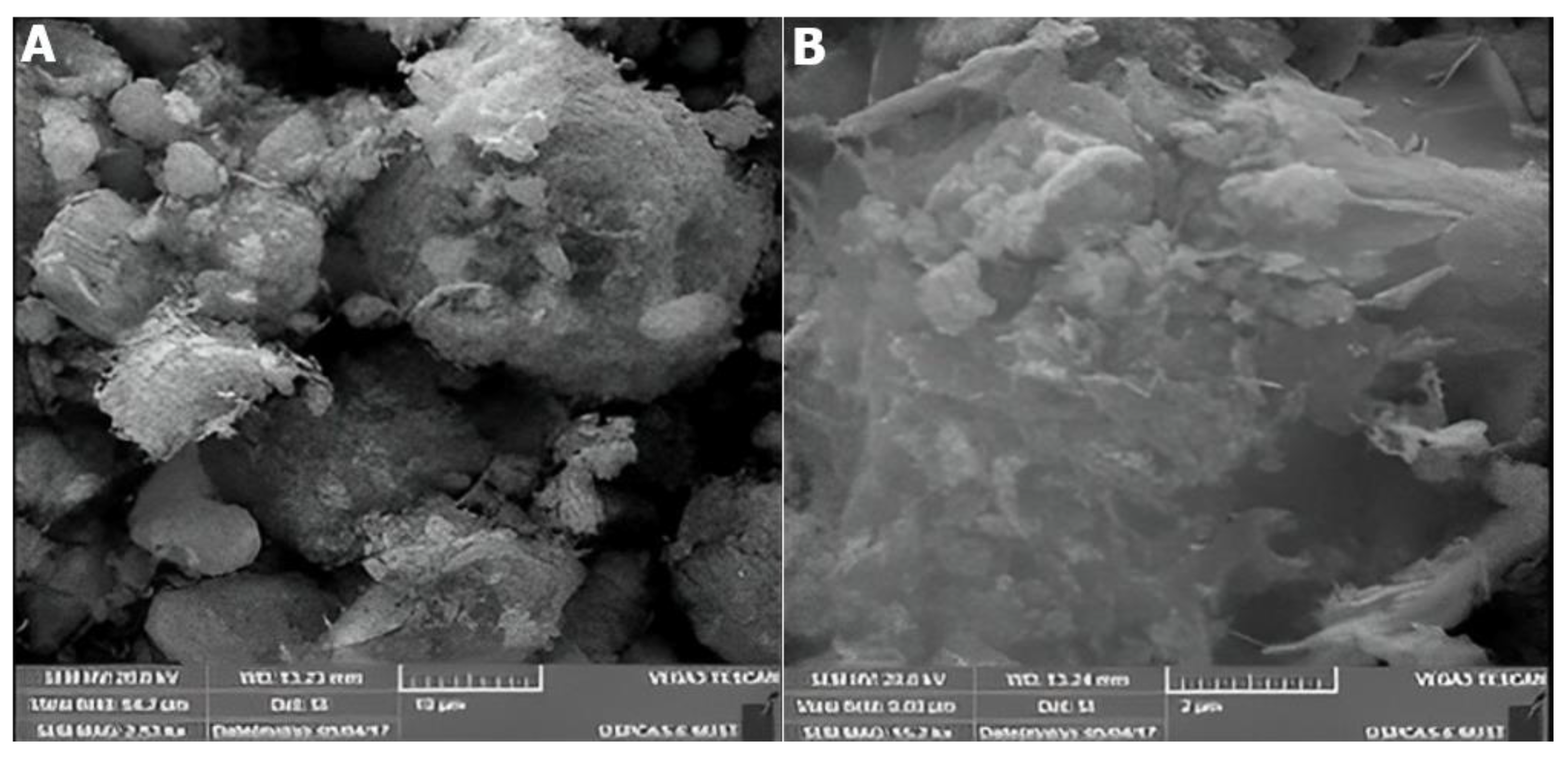 Catalysts 12 01354 g008