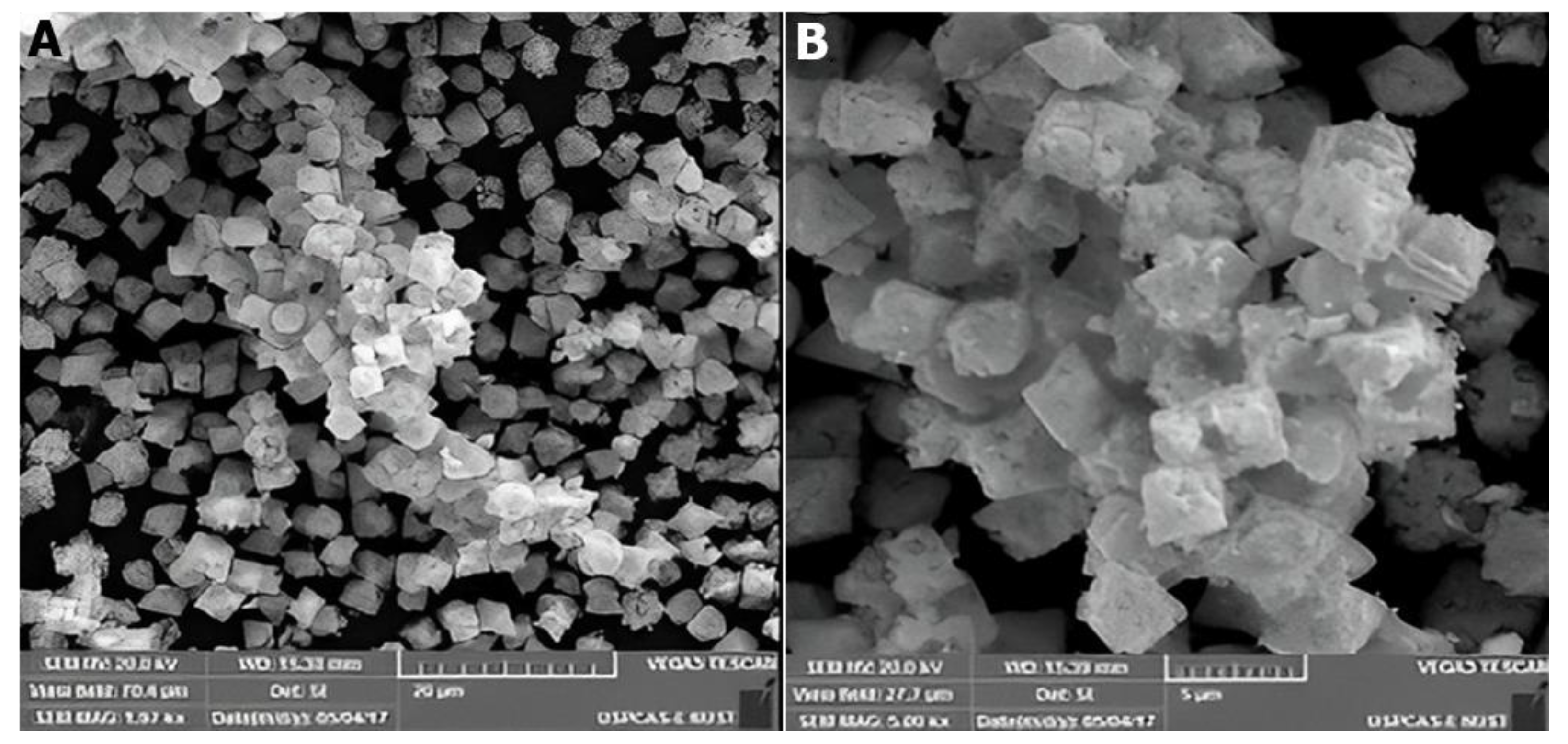 Catalysts 12 01354 g009