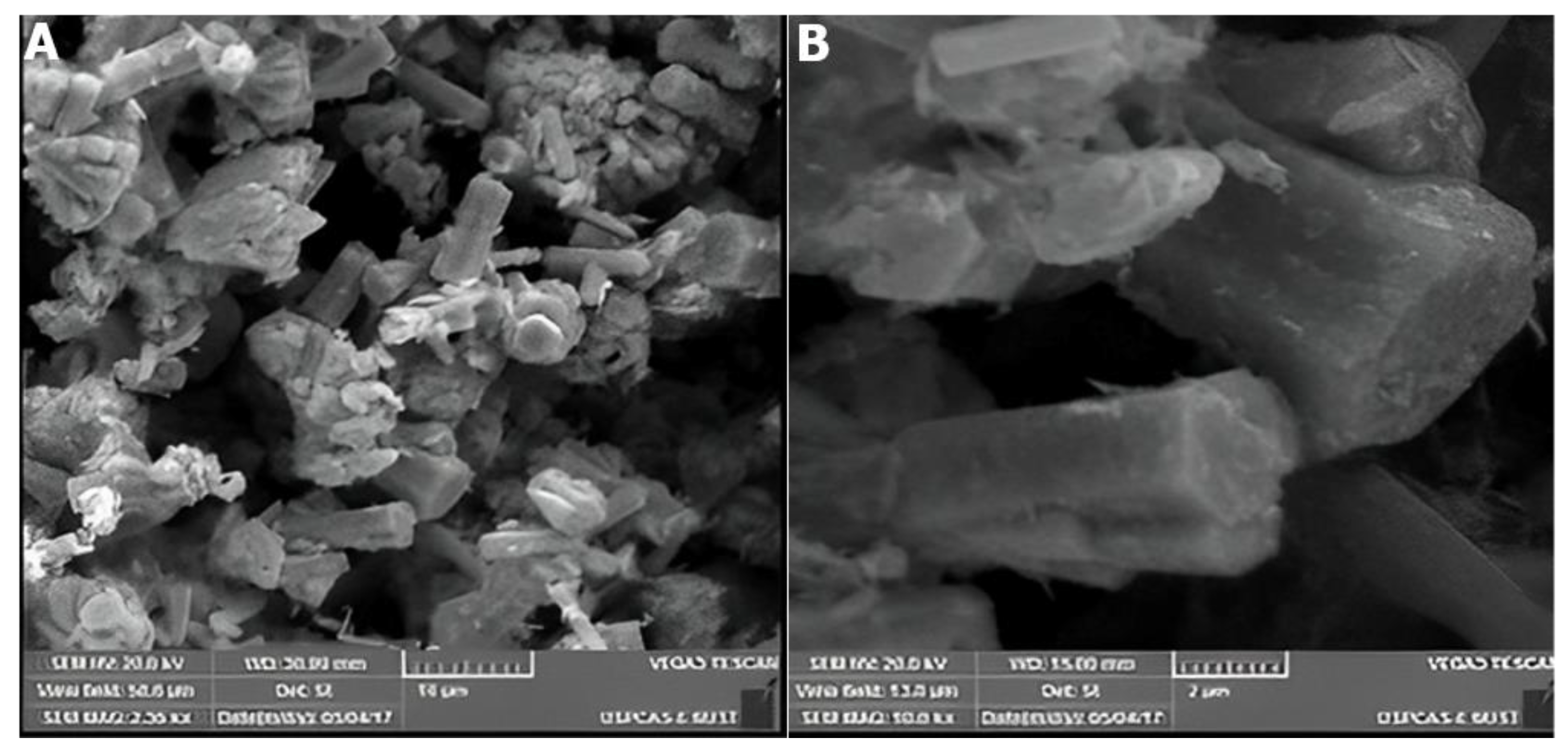 Catalysts 12 01354 g010