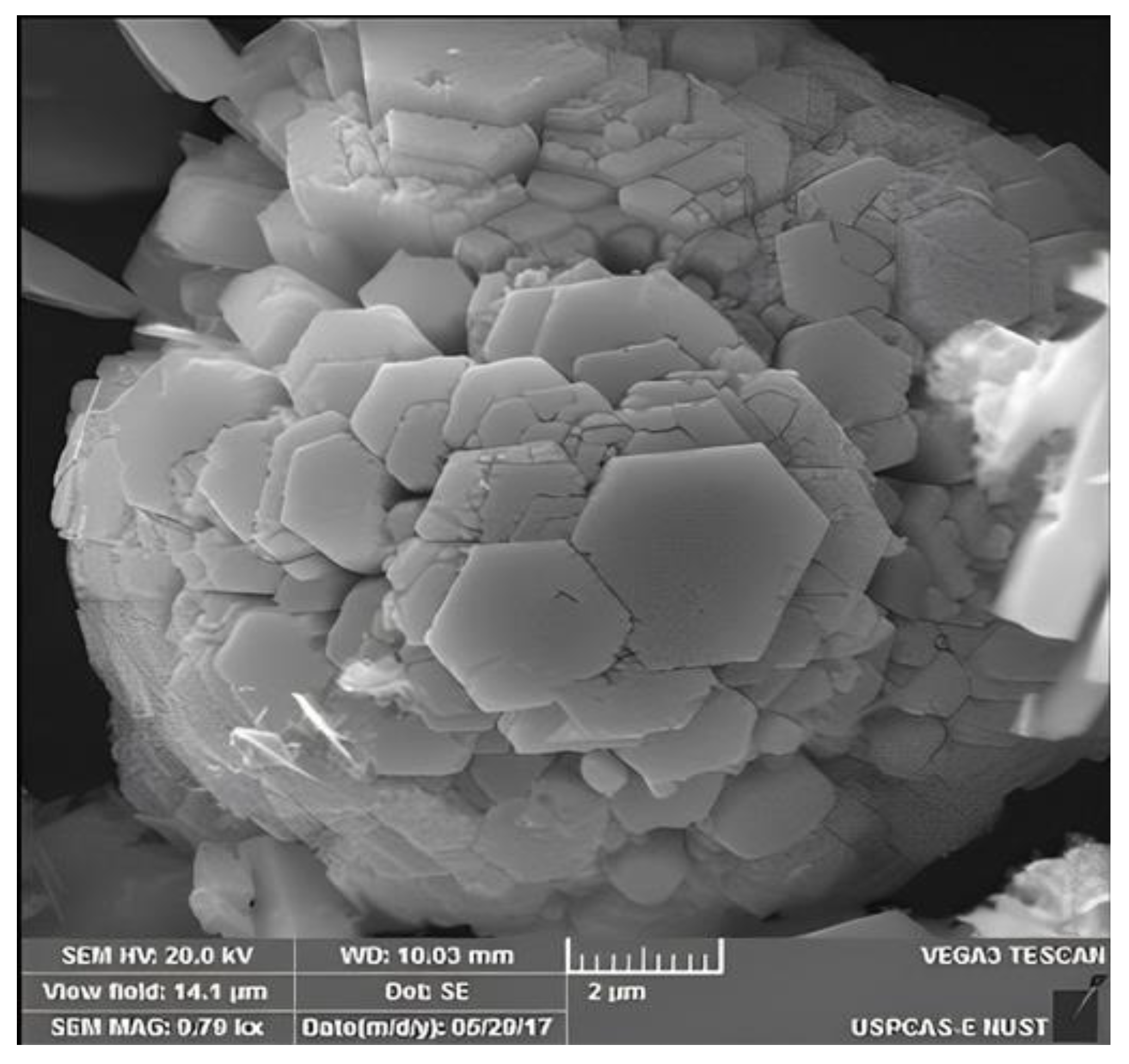 Catalysts 12 01354 g011