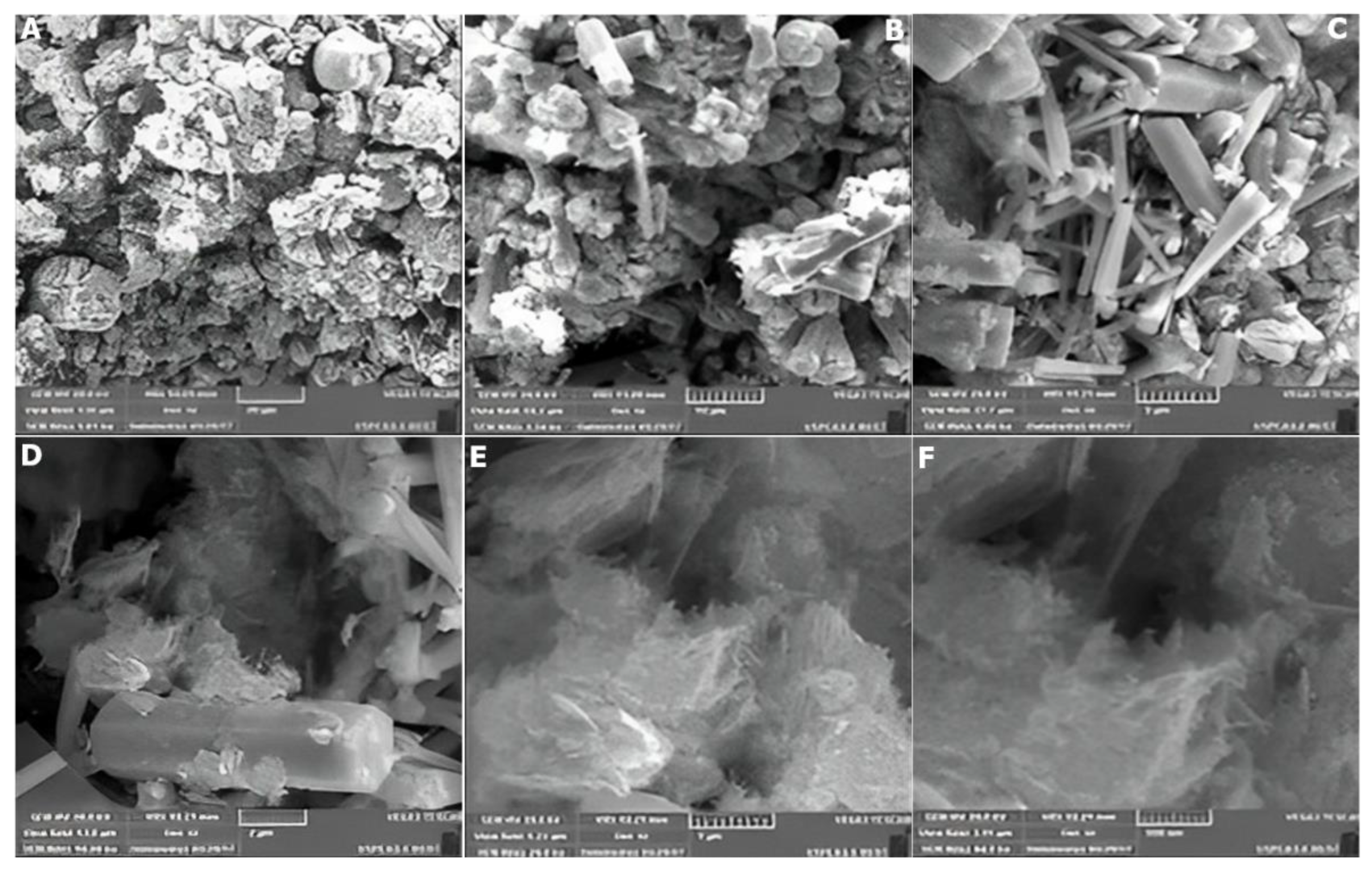 Catalysts 12 01354 g012