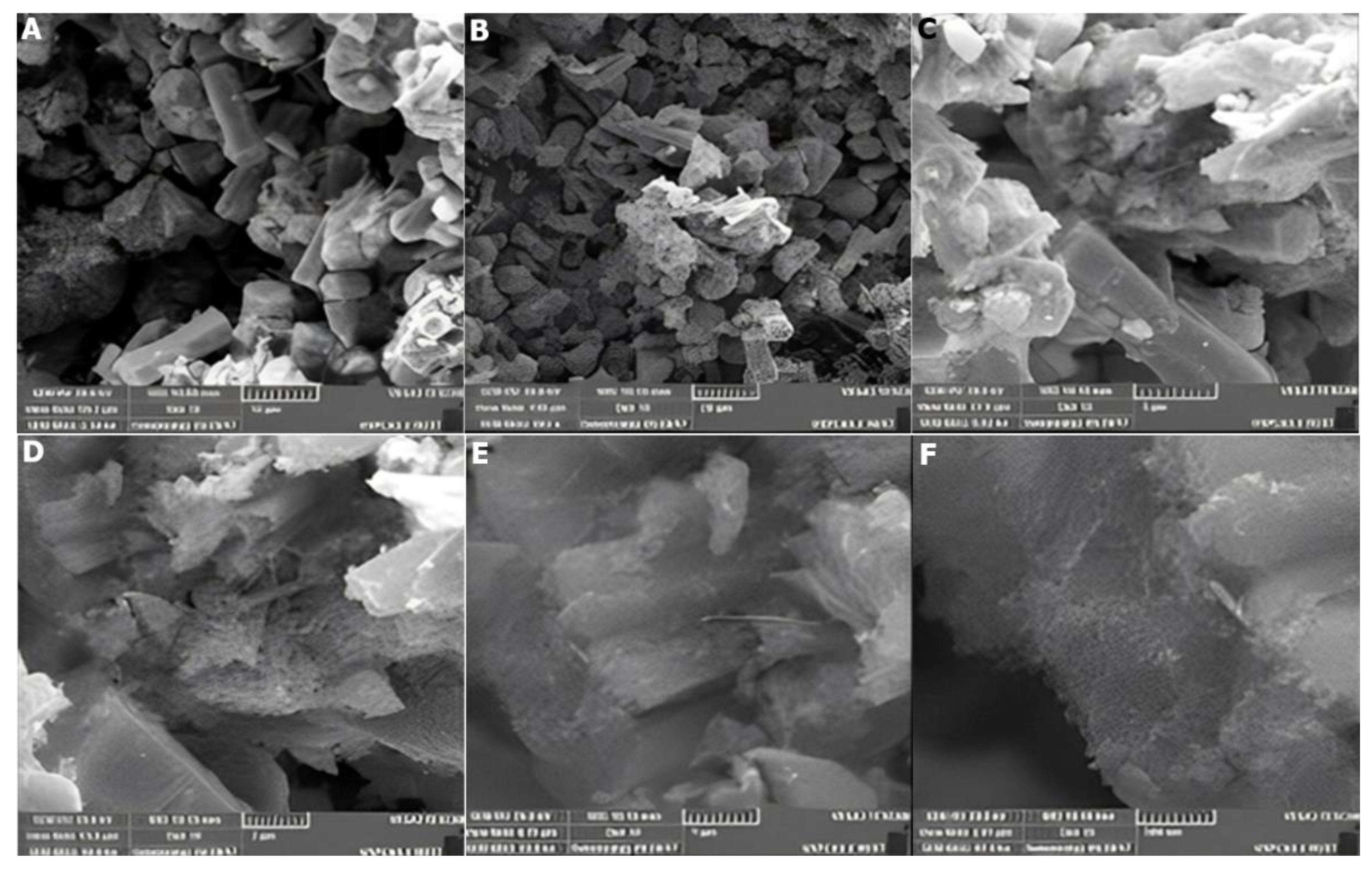 Catalysts 12 01354 g013