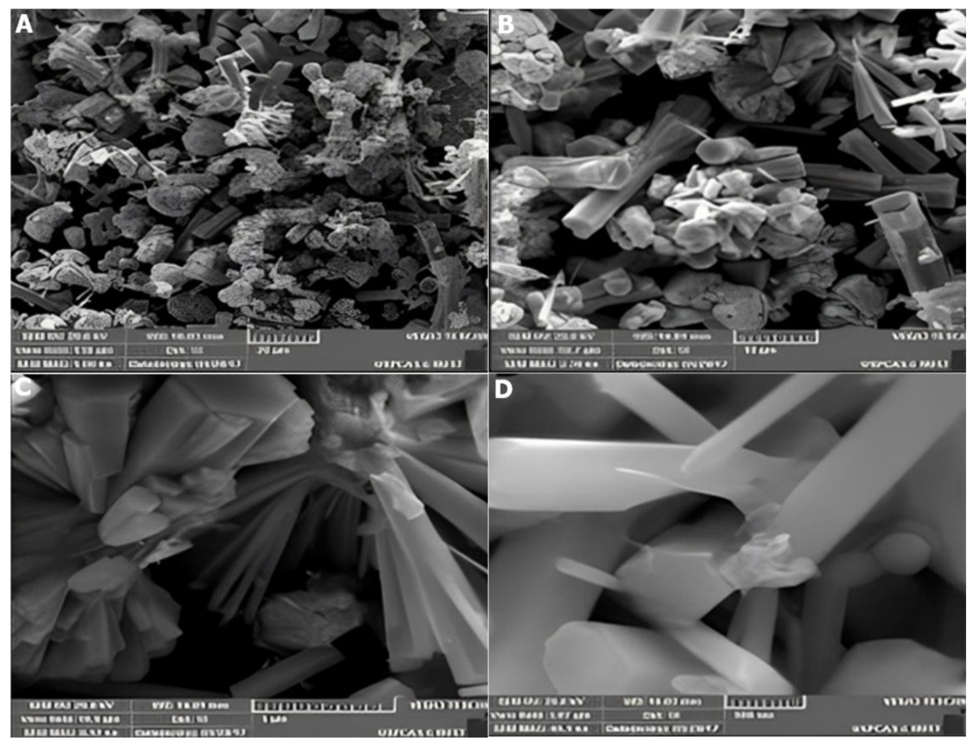 Catalysts 12 01354 g014