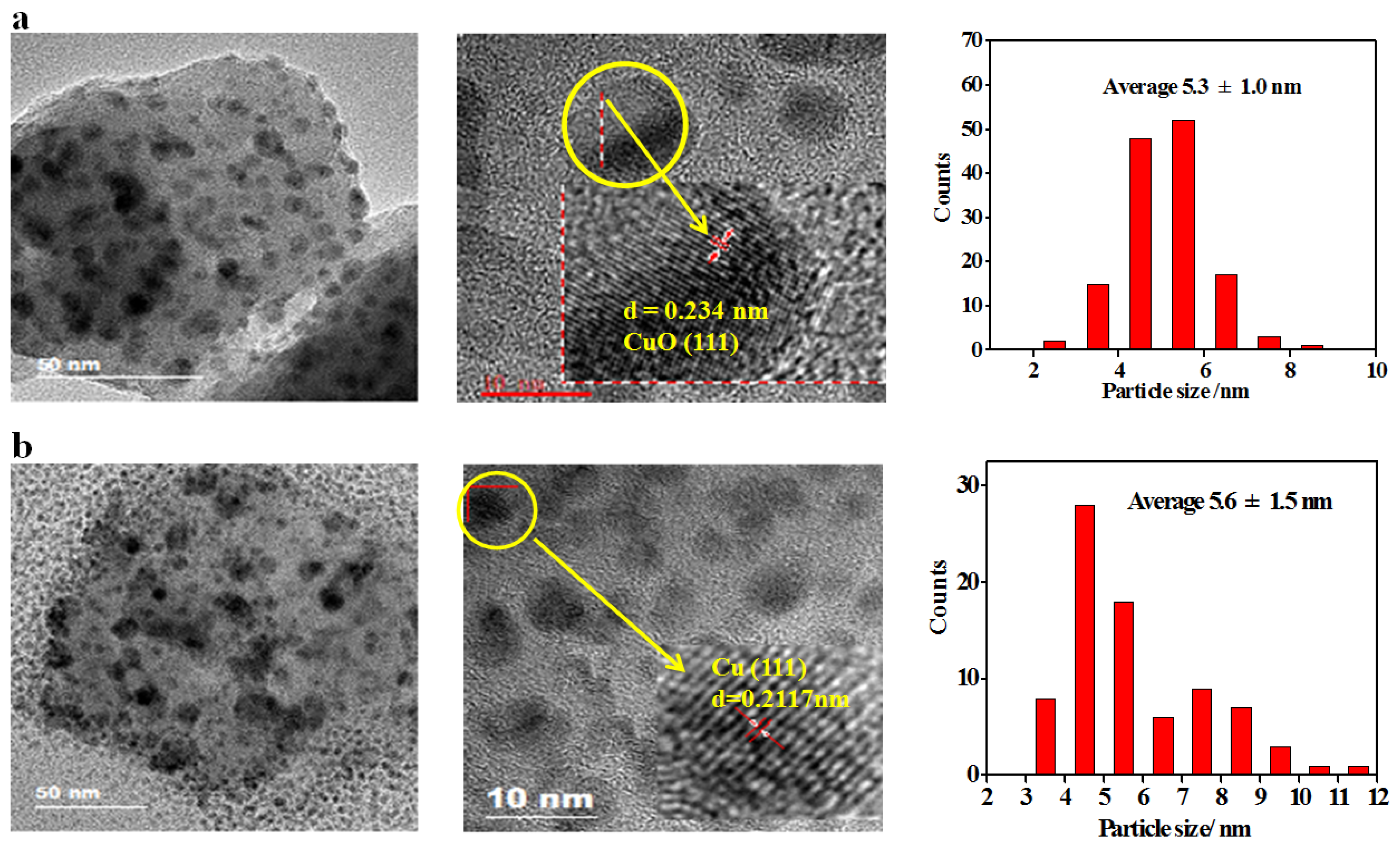 Catalysts 12 01355 g002