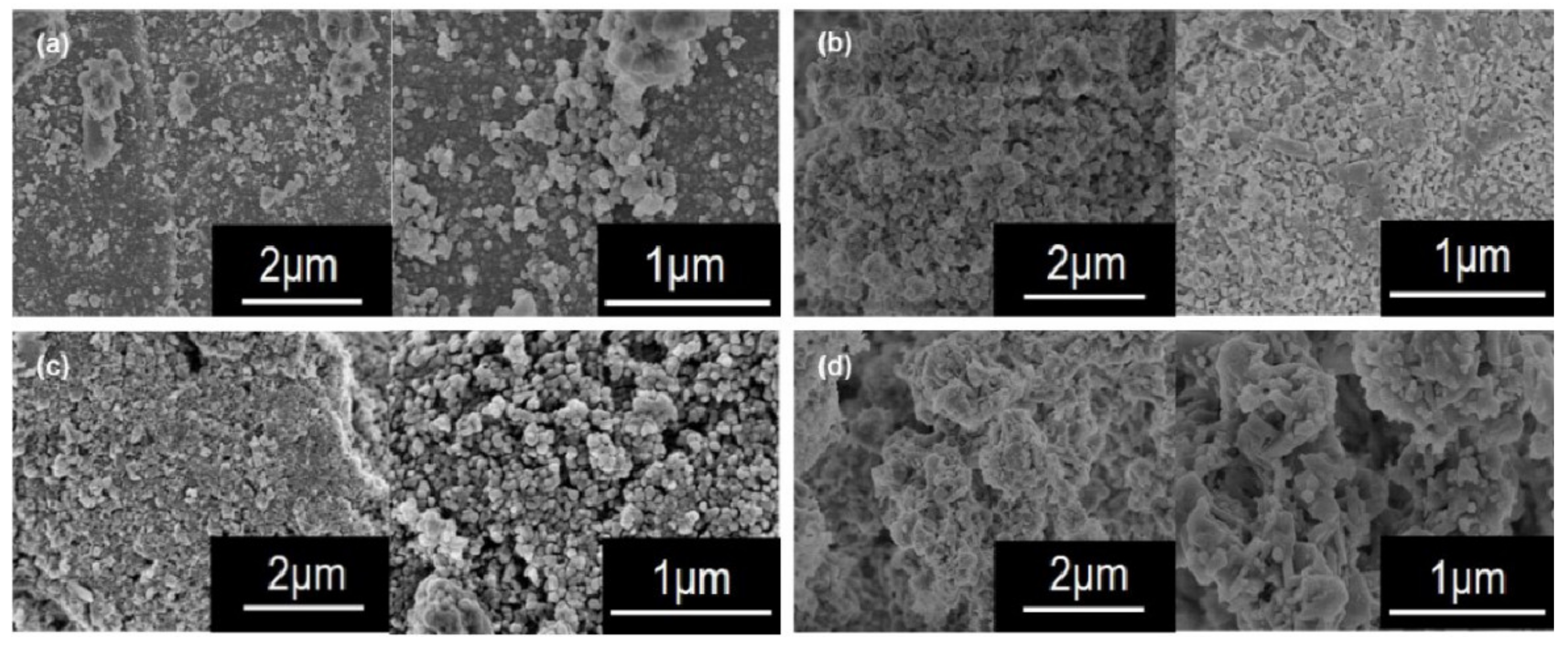 Catalysts 12 01361 g003