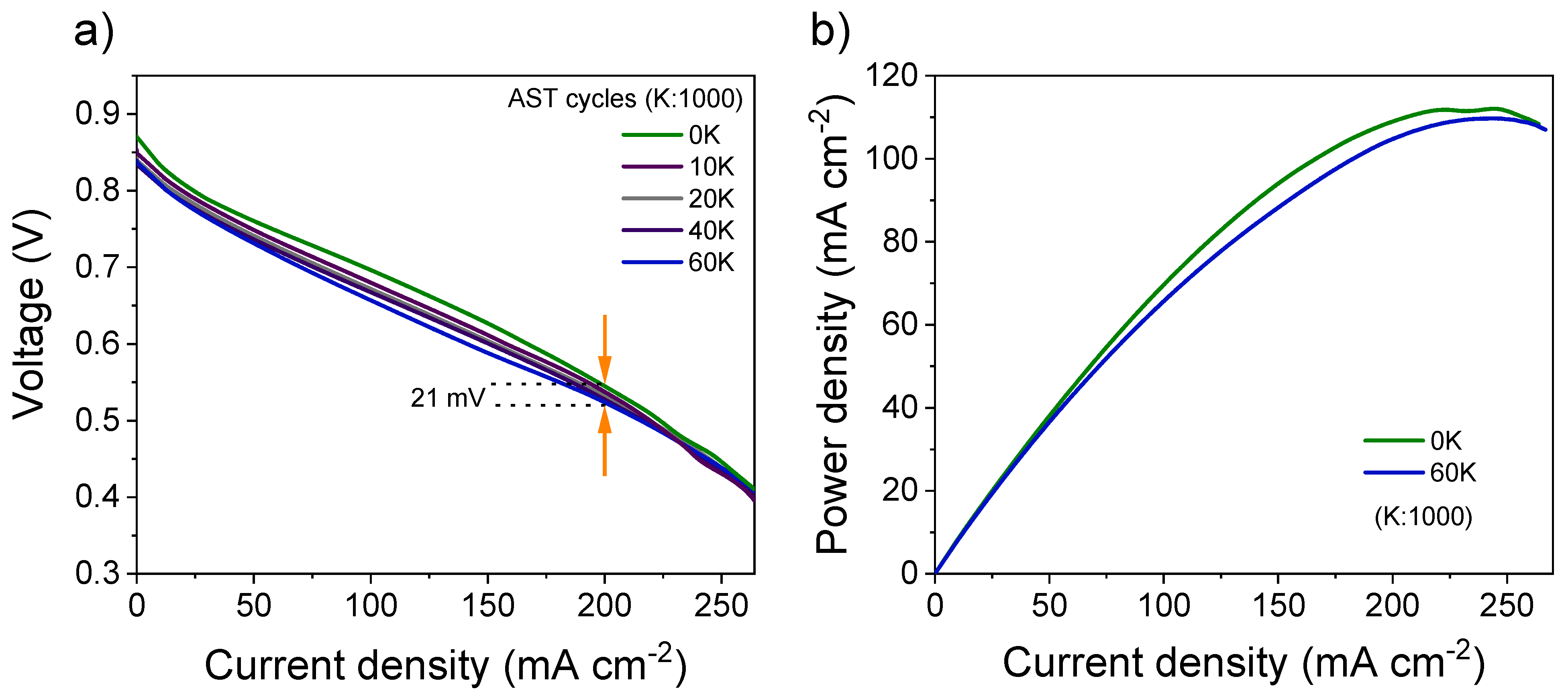 Catalysts 12 01369 g006 Catalysts 12 01369 g006