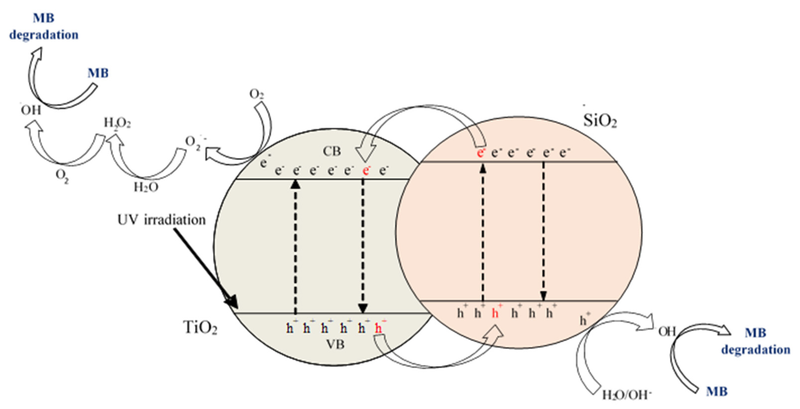 Catalysts 12 01372 g011 Catalysts 12 01372 g011