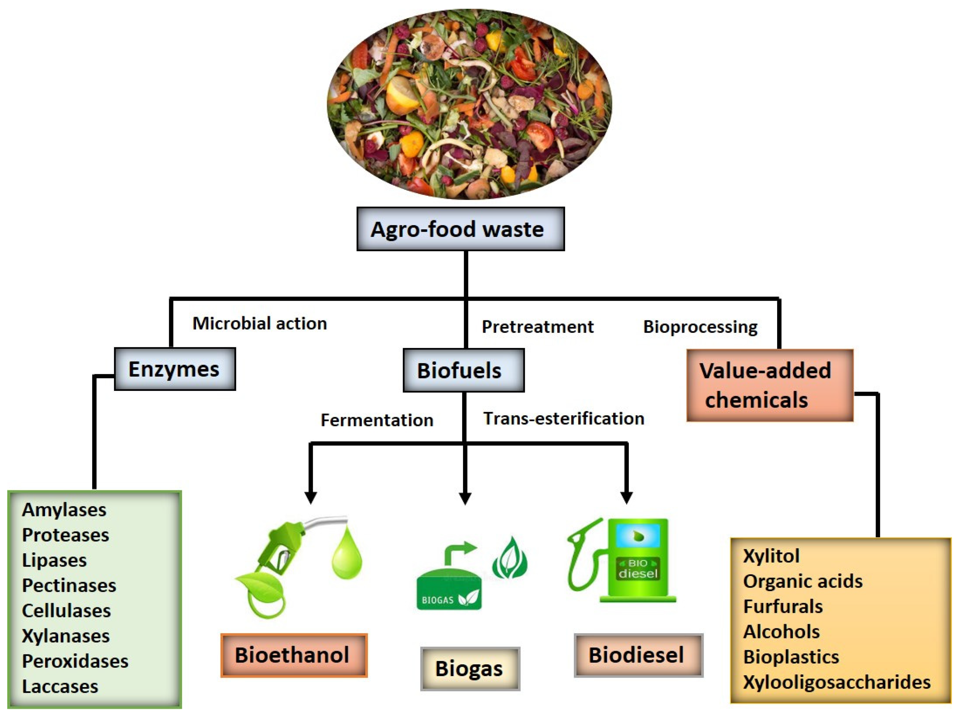 Catalysts Free FullText AgroIndustrial Food Waste as a LowCost