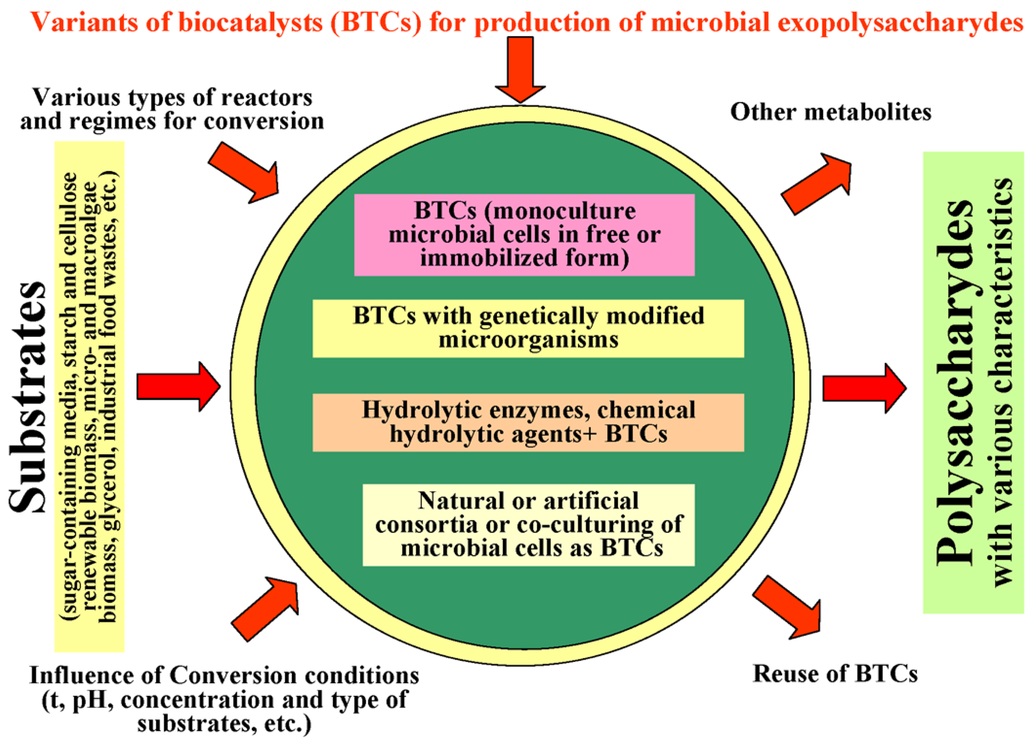 Catalysts 12 01377 g001 Catalysts 12 01377 g001