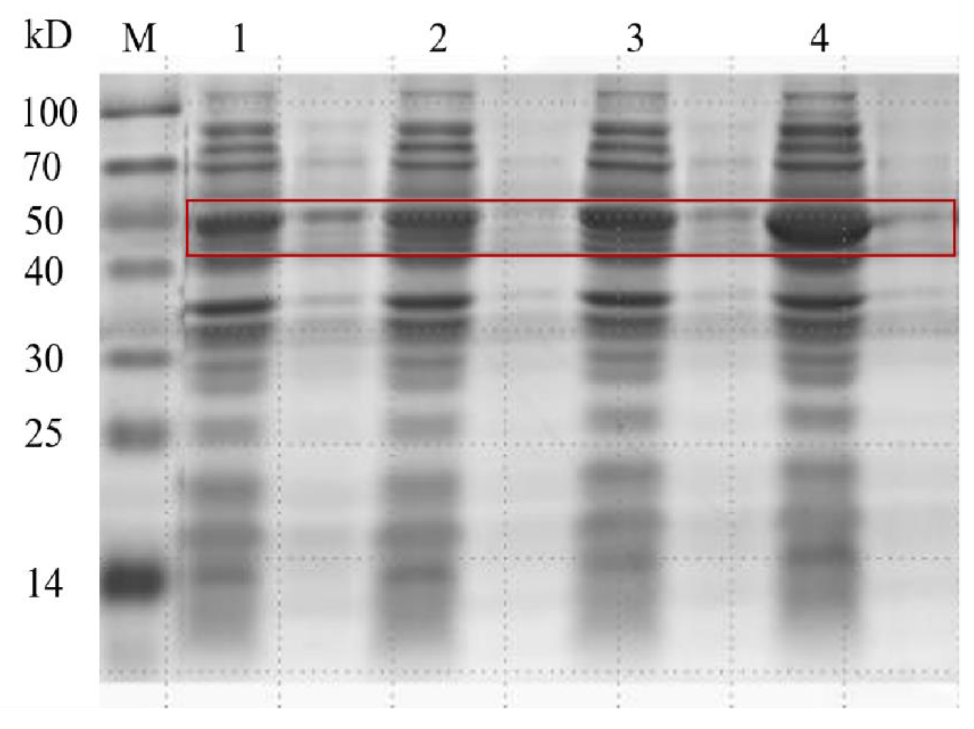 Catalysts 12 01379 g001