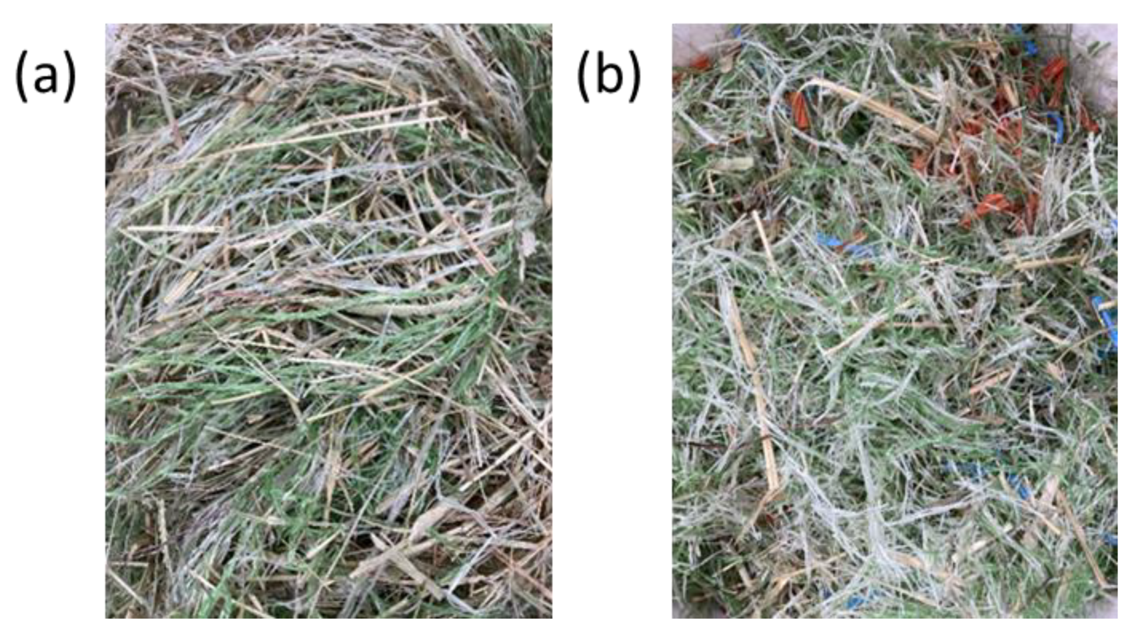 Catalysts 12 01381 g010